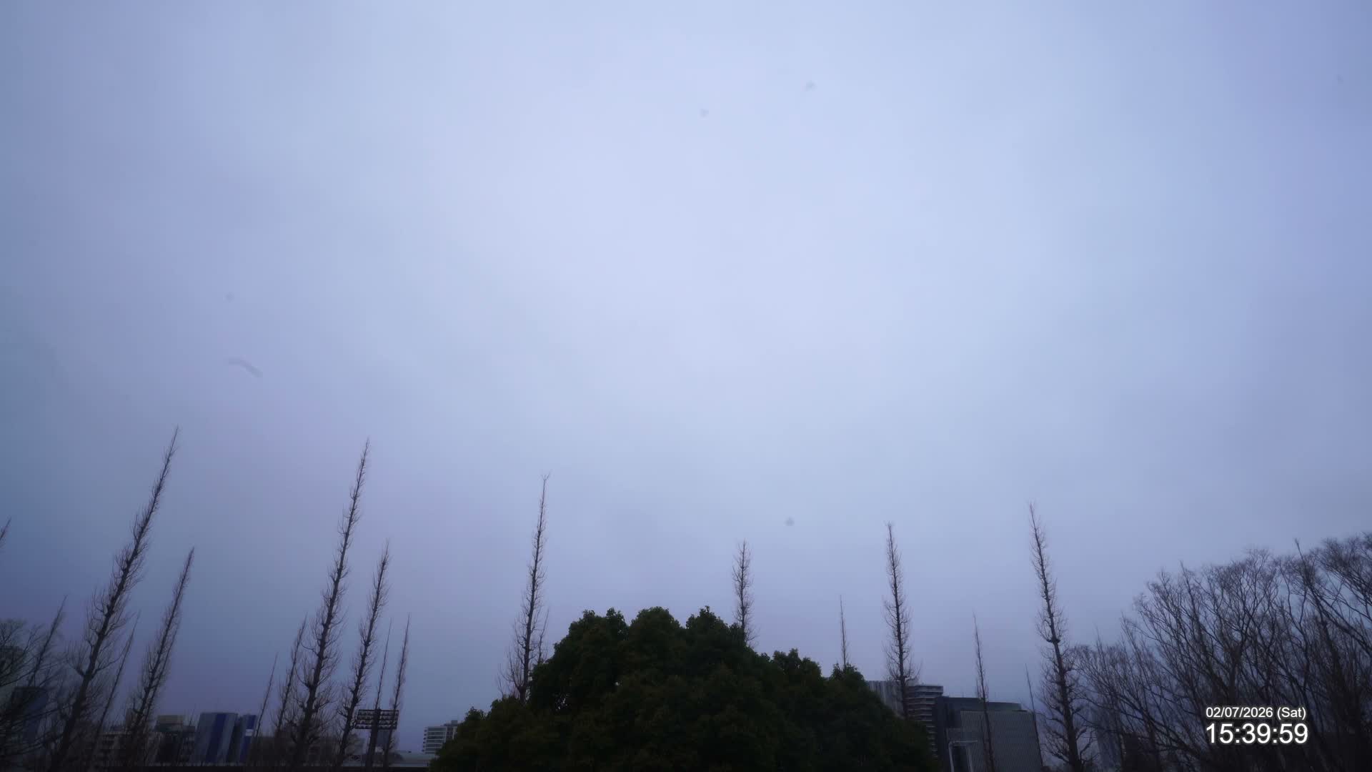 Tokyo, Meiji Shrine Outer Garden / Meiji Jingu Gaien toward Sky (明治神宮外苑から空へ) Live Cam  - Kasumigaokamachi, Shinjuku-ku, Tokyo, Kantō, Honshu, Japan