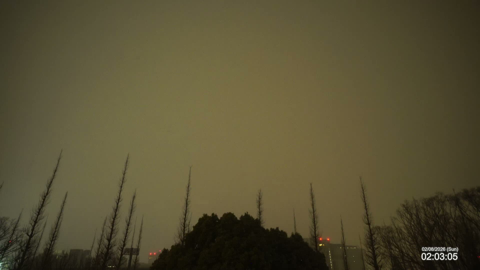 Tokyo, Meiji Shrine Outer Garden / Meiji Jingu Gaien toward Sky (明治神宮外苑から空へ) Live Cam  - Kasumigaokamachi, Shinjuku-ku, Tokyo, Kantō, Honshu, Japan