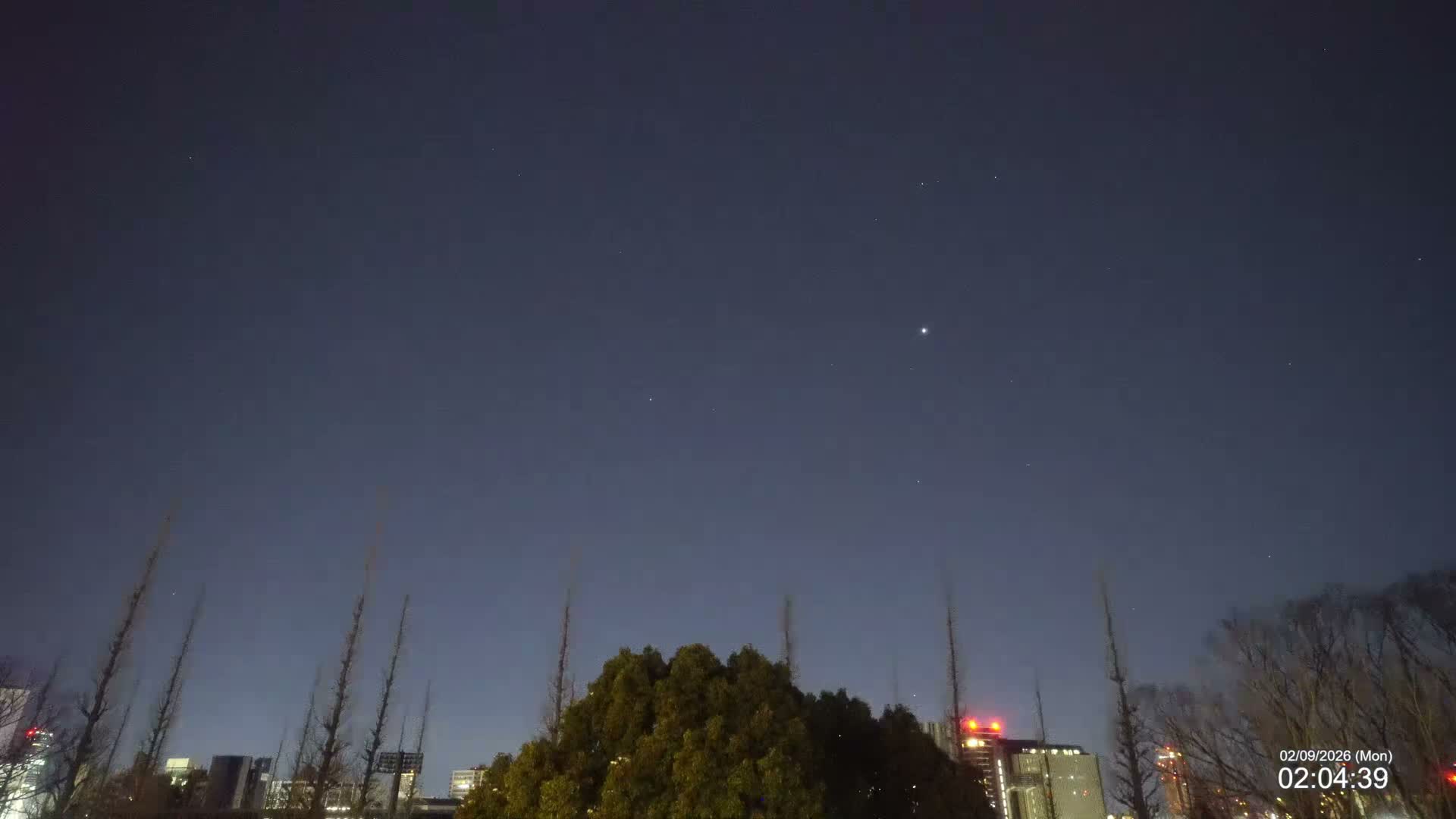 Tokyo, Meiji Shrine Outer Garden / Meiji Jingu Gaien toward Sky (明治神宮外苑から空へ) Live Cam  - Kasumigaokamachi, Shinjuku-ku, Tokyo, Kantō, Honshu, Japan