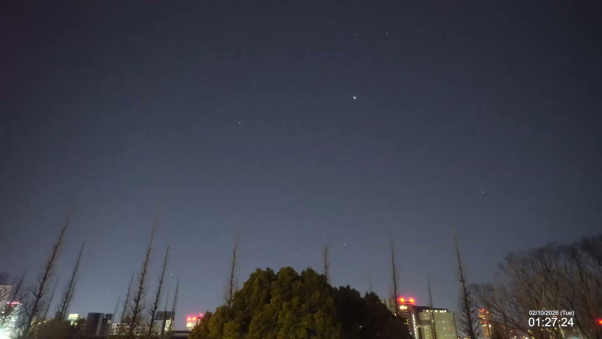 Tokyo, Meiji Shrine Outer Garden / Meiji Jingu Gaien toward Sky (明治神宮外苑から空へ) Live Cam  - Kasumigaokamachi, Shinjuku-ku, Tokyo, Kantō, Honshu, Japan