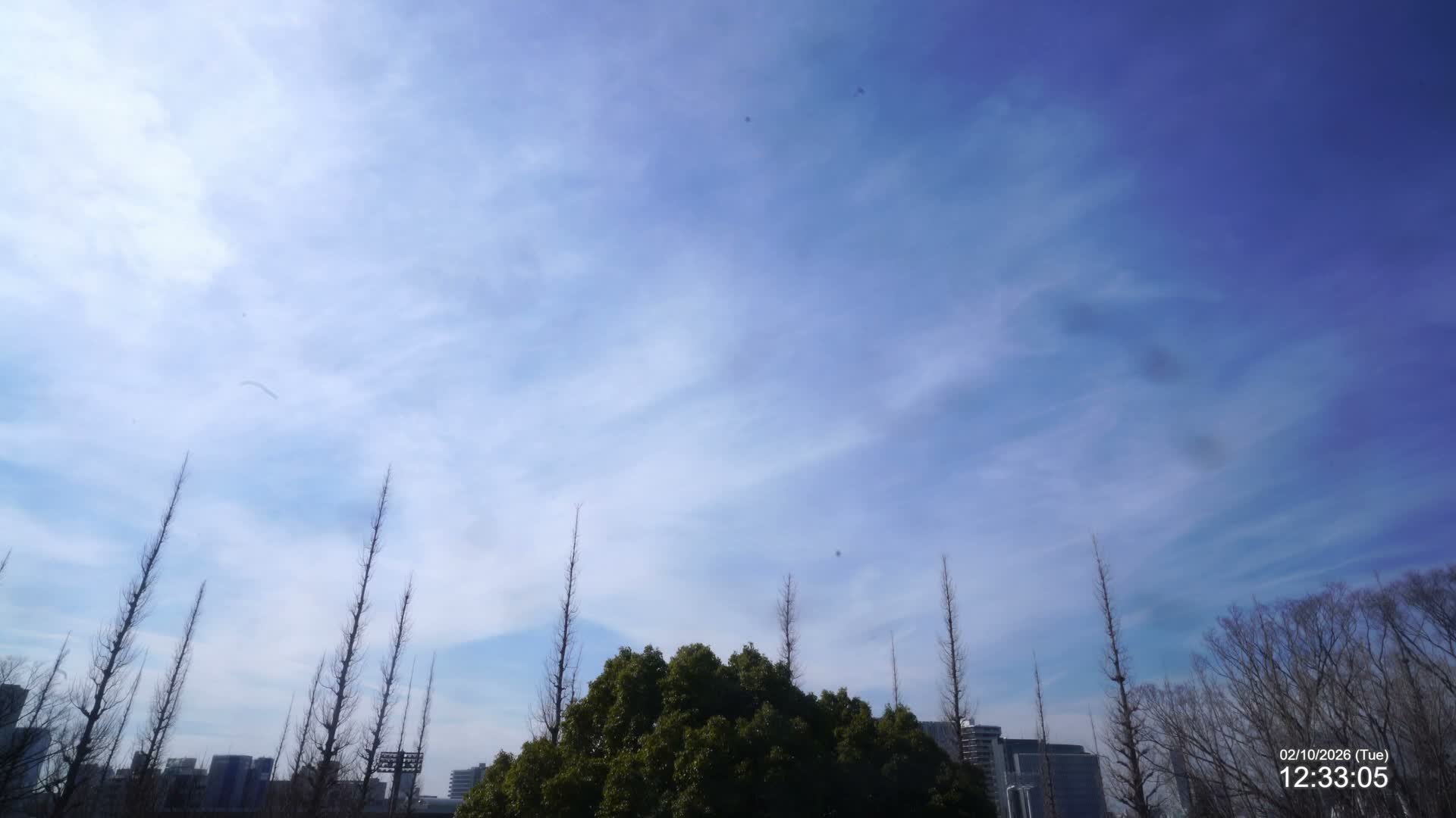 Tokyo, Meiji Shrine Outer Garden / Meiji Jingu Gaien toward Sky (明治神宮外苑から空へ) Live Cam  - Kasumigaokamachi, Shinjuku-ku, Tokyo, Kantō, Honshu, Japan