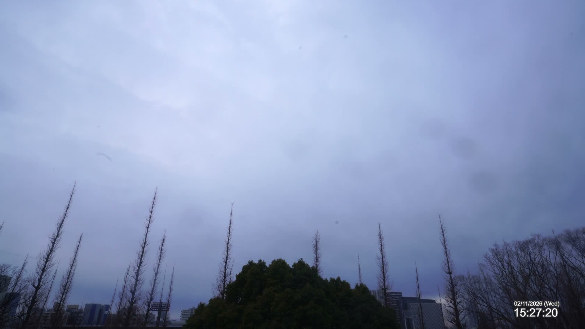 Tokyo, Meiji Shrine Outer Garden / Meiji Jingu Gaien toward Sky (明治神宮外苑から空へ) Live Cam  - Kasumigaokamachi, Shinjuku-ku, Tokyo, Kantō, Honshu, Japan