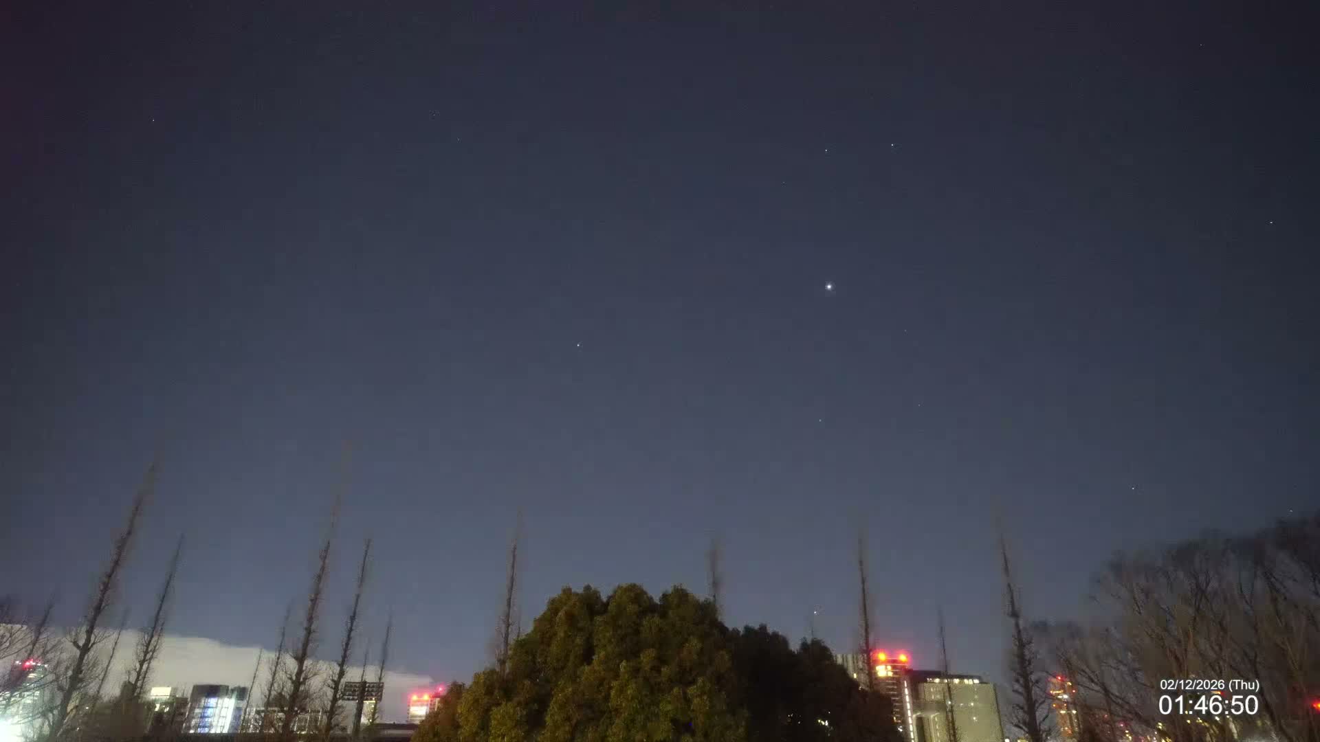 Tokyo, Meiji Shrine Outer Garden / Meiji Jingu Gaien toward Sky (明治神宮外苑から空へ) Live Cam  - Kasumigaokamachi, Shinjuku-ku, Tokyo, Kantō, Honshu, Japan