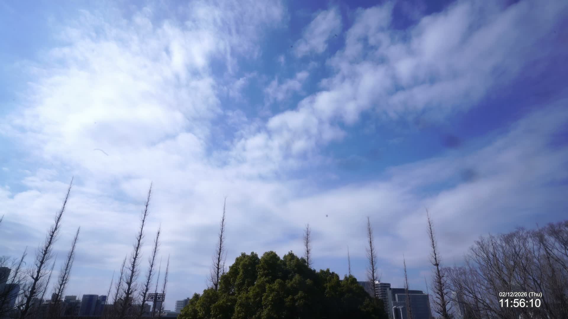 Tokyo, Meiji Shrine Outer Garden / Meiji Jingu Gaien toward Sky (明治神宮外苑から空へ) Live Cam  - Kasumigaokamachi, Shinjuku-ku, Tokyo, Kantō, Honshu, Japan