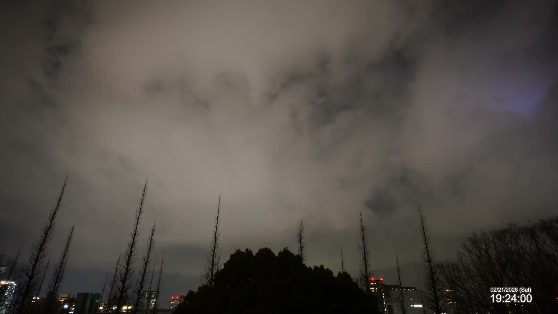 Tokyo, Meiji Shrine Outer Garden / Meiji Jingu Gaien toward Sky (明治神宮外苑から空へ) Live Cam  - Kasumigaokamachi, Shinjuku-ku, Tokyo, Kantō, Honshu, Japan