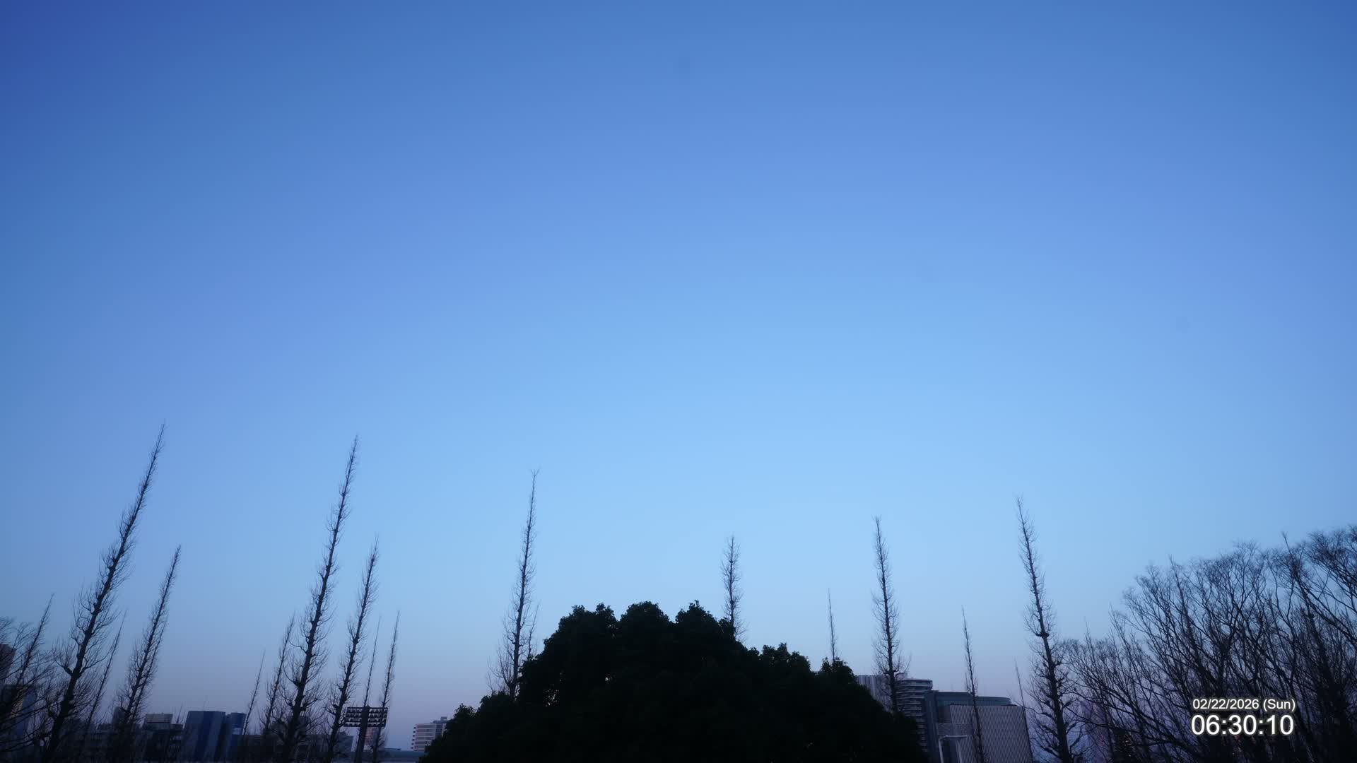 Tokyo, Meiji Shrine Outer Garden / Meiji Jingu Gaien toward Sky (明治神宮外苑から空へ) Live Cam  - Kasumigaokamachi, Shinjuku-ku, Tokyo, Kantō, Honshu, Japan