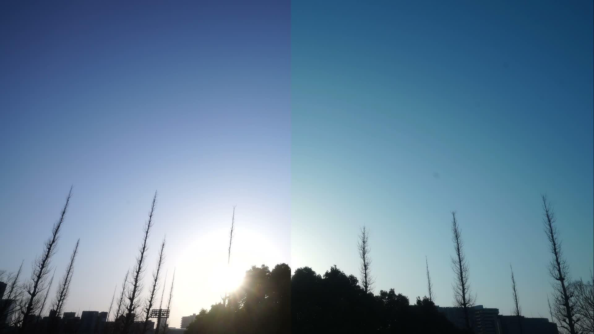 Tokyo, Meiji Shrine Outer Garden / Meiji Jingu Gaien toward Sky (明治神宮外苑から空へ) Live Cam  - Kasumigaokamachi, Shinjuku-ku, Tokyo, Kantō, Honshu, Japan