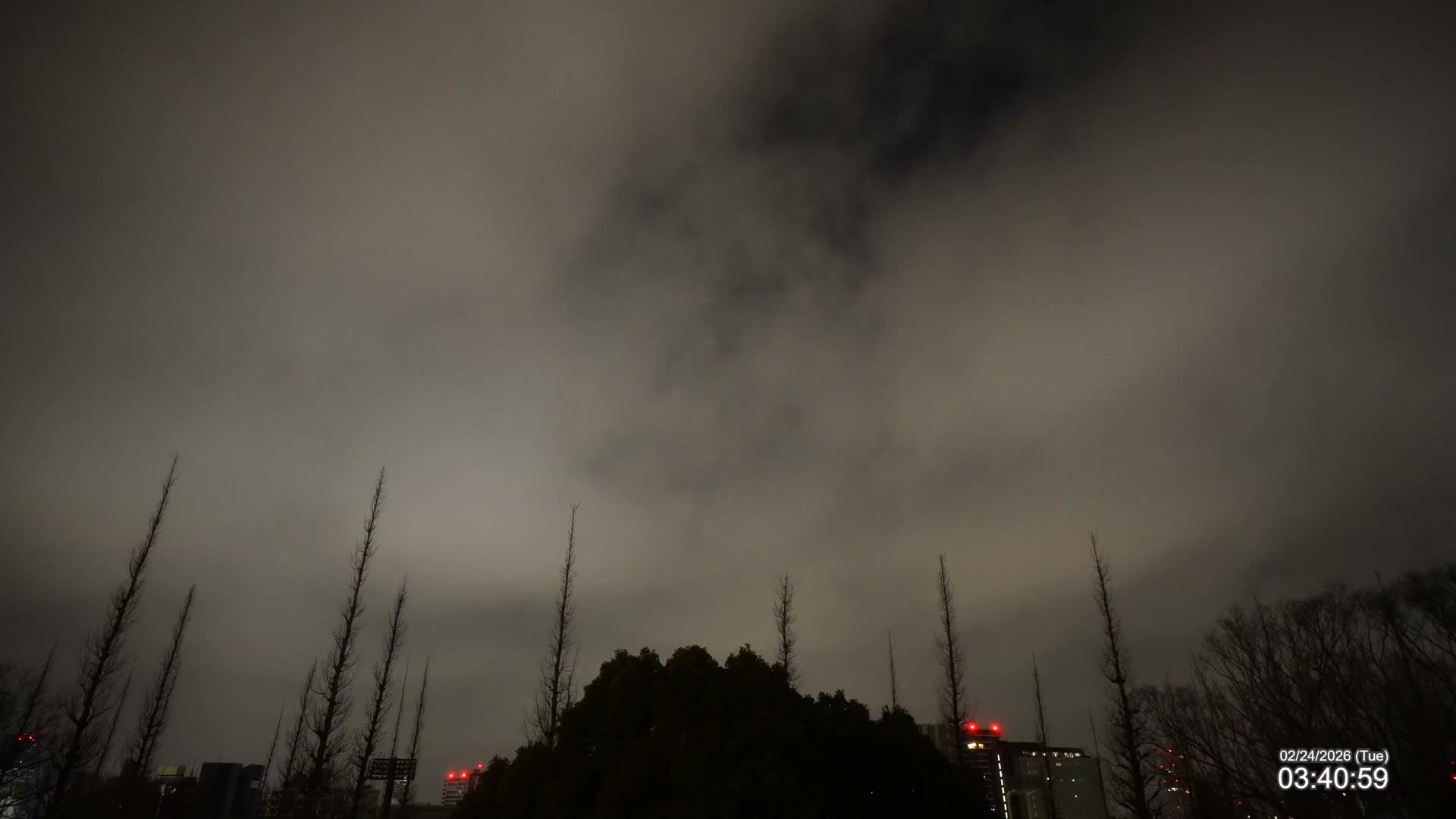 Tokyo, Meiji Shrine Outer Garden / Meiji Jingu Gaien toward Sky (明治神宮外苑から空へ) Live Cam  - Kasumigaokamachi, Shinjuku-ku, Tokyo, Kantō, Honshu, Japan
