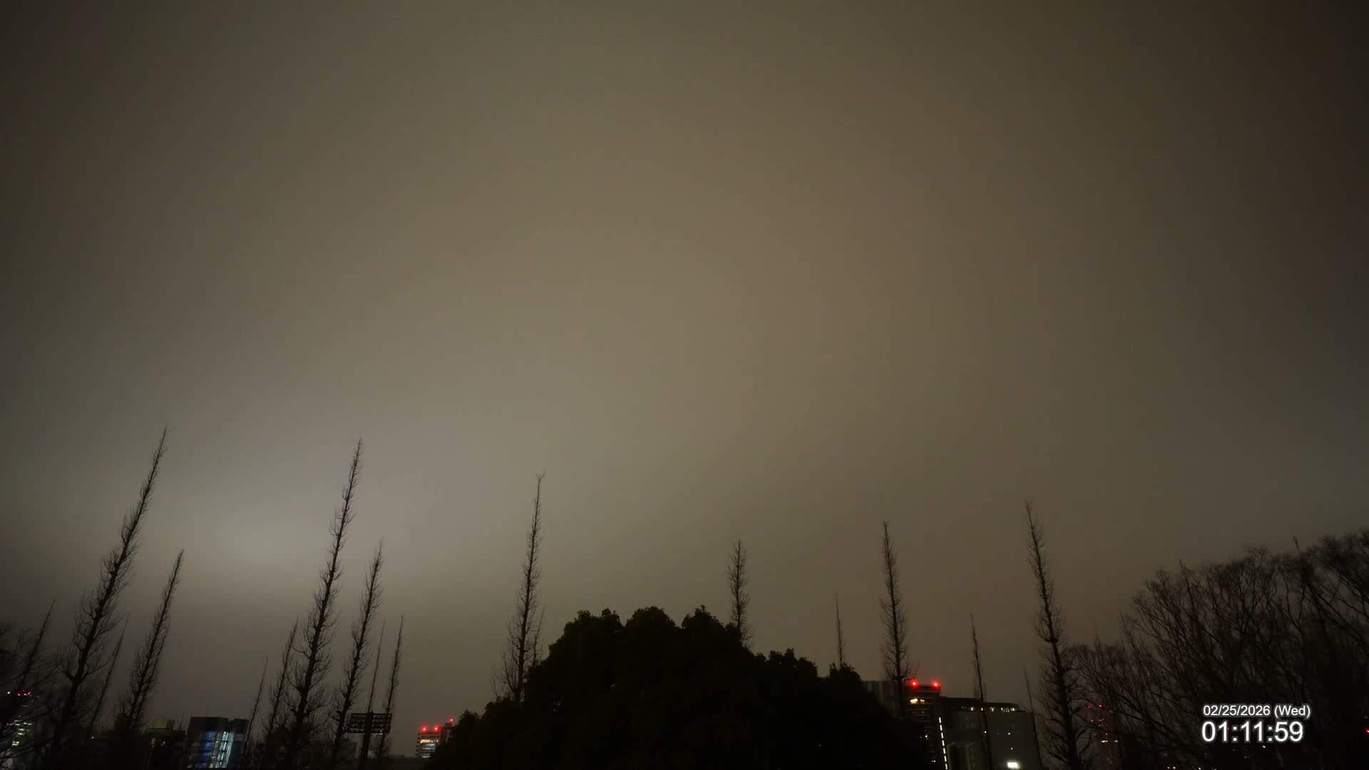 Tokyo, Meiji Shrine Outer Garden / Meiji Jingu Gaien toward Sky (明治神宮外苑から空へ) Live Cam  - Kasumigaokamachi, Shinjuku-ku, Tokyo, Kantō, Honshu, Japan