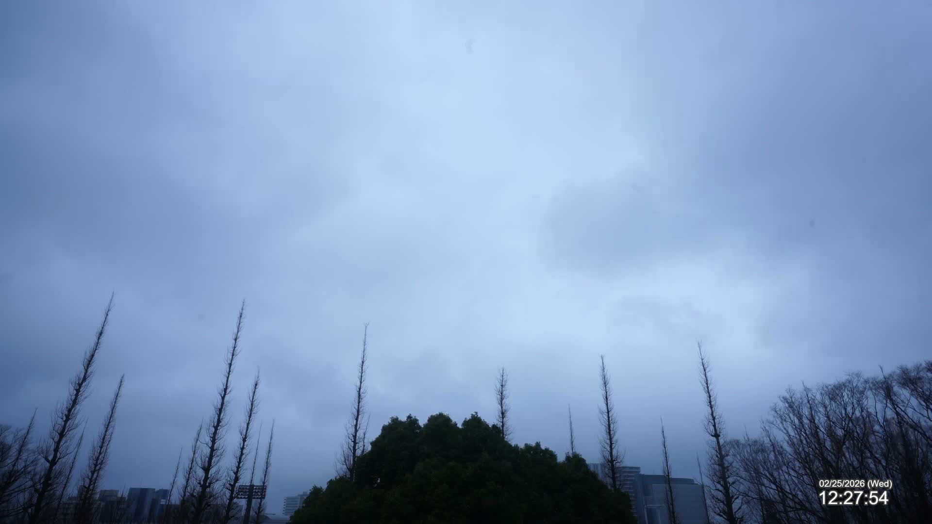 Tokyo, Meiji Shrine Outer Garden / Meiji Jingu Gaien toward Sky (明治神宮外苑から空へ) Live Cam  - Kasumigaokamachi, Shinjuku-ku, Tokyo, Kantō, Honshu, Japan