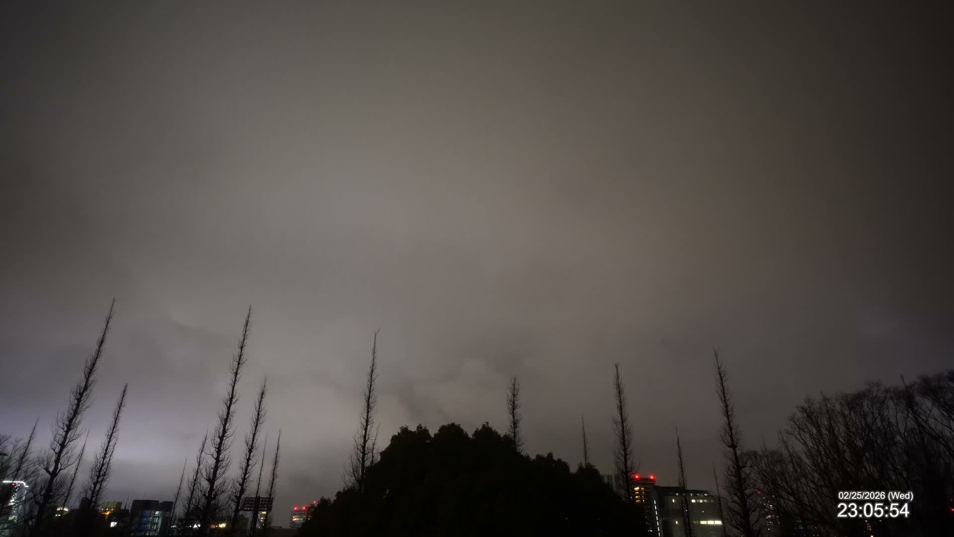 Tokyo, Meiji Shrine Outer Garden / Meiji Jingu Gaien toward Sky (明治神宮外苑から空へ) Live Cam  - Kasumigaokamachi, Shinjuku-ku, Tokyo, Kantō, Honshu, Japan