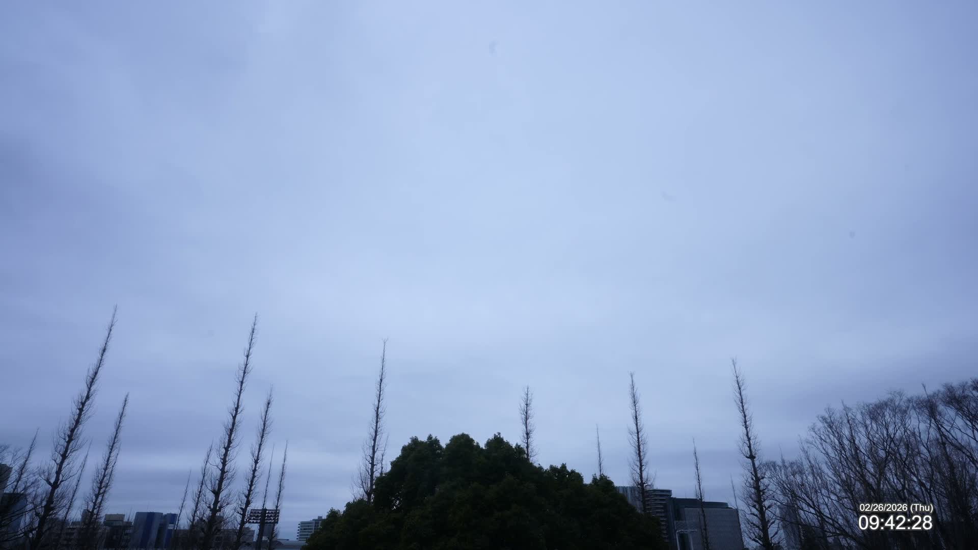 Tokyo, Meiji Shrine Outer Garden / Meiji Jingu Gaien toward Sky (明治神宮外苑から空へ) Live Cam  - Kasumigaokamachi, Shinjuku-ku, Tokyo, Kantō, Honshu, Japan