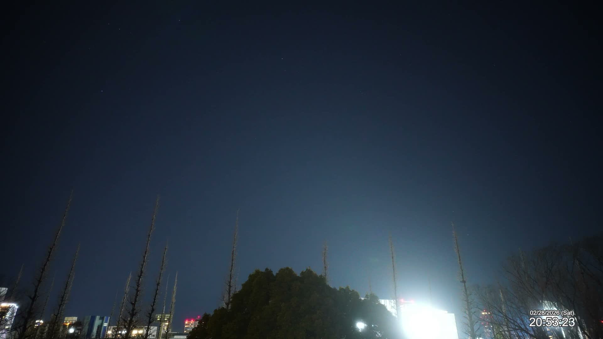 Tokyo, Meiji Shrine Outer Garden / Meiji Jingu Gaien toward Sky (明治神宮外苑から空へ) Live Cam  - Kasumigaokamachi, Shinjuku-ku, Tokyo, Kantō, Honshu, Japan