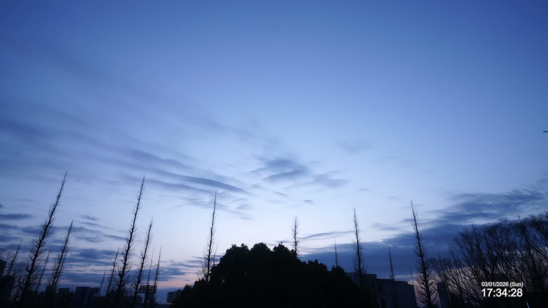 Tokyo, Meiji Shrine Outer Garden / Meiji Jingu Gaien toward Sky (明治神宮外苑から空へ) Live Cam  - Kasumigaokamachi, Shinjuku-ku, Tokyo, Kantō, Honshu, Japan