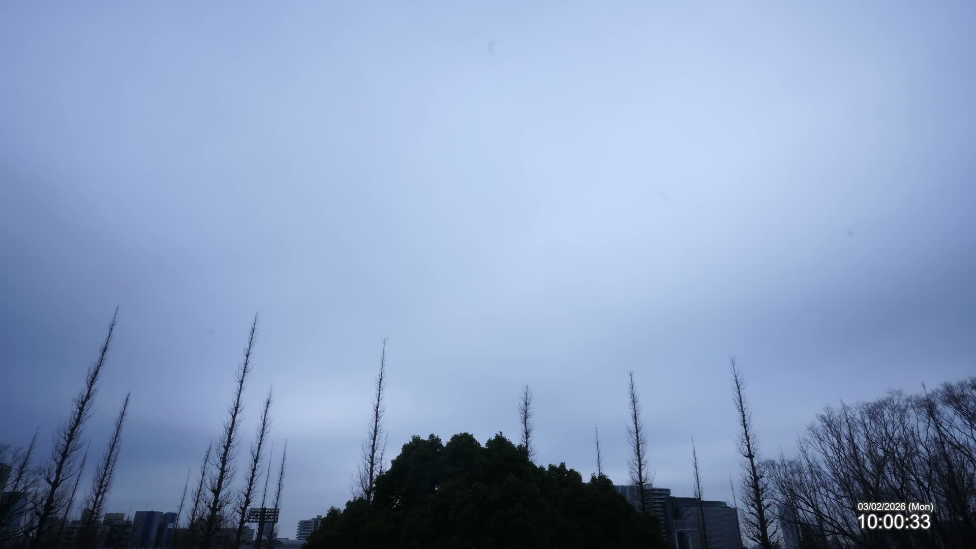 Tokyo, Meiji Shrine Outer Garden / Meiji Jingu Gaien toward Sky (明治神宮外苑から空へ) Live Cam  - Kasumigaokamachi, Shinjuku-ku, Tokyo, Kantō, Honshu, Japan