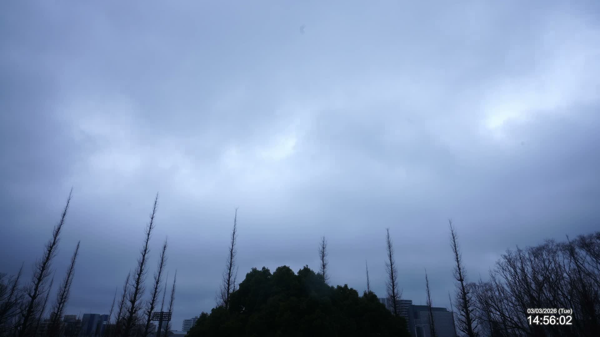 Tokyo, Meiji Shrine Outer Garden / Meiji Jingu Gaien toward Sky (明治神宮外苑から空へ) Live Cam  - Kasumigaokamachi, Shinjuku-ku, Tokyo, Kantō, Honshu, Japan