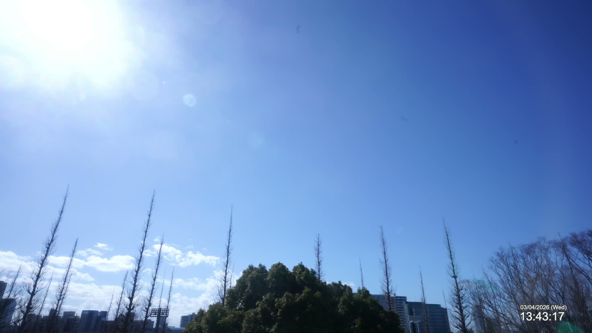 Tokyo, Meiji Shrine Outer Garden / Meiji Jingu Gaien toward Sky (明治神宮外苑から空へ) Live Cam  - Kasumigaokamachi, Shinjuku-ku, Tokyo, Kantō, Honshu, Japan