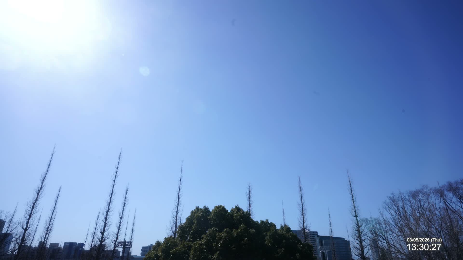 Tokyo, Meiji Shrine Outer Garden / Meiji Jingu Gaien toward Sky (明治神宮外苑から空へ) Live Cam  - Kasumigaokamachi, Shinjuku-ku, Tokyo, Kantō, Honshu, Japan