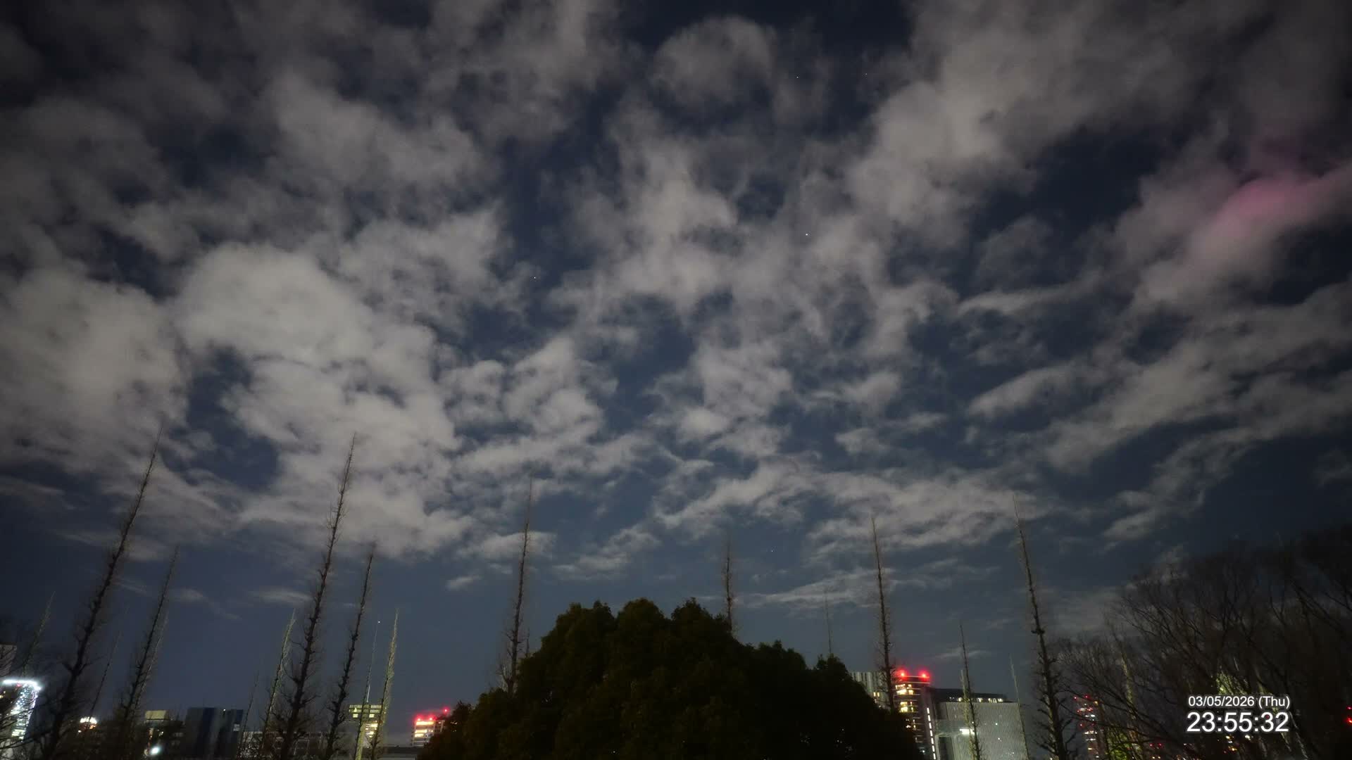 Tokyo, Meiji Shrine Outer Garden / Meiji Jingu Gaien toward Sky (明治神宮外苑から空へ) Live Cam  - Kasumigaokamachi, Shinjuku-ku, Tokyo, Kantō, Honshu, Japan