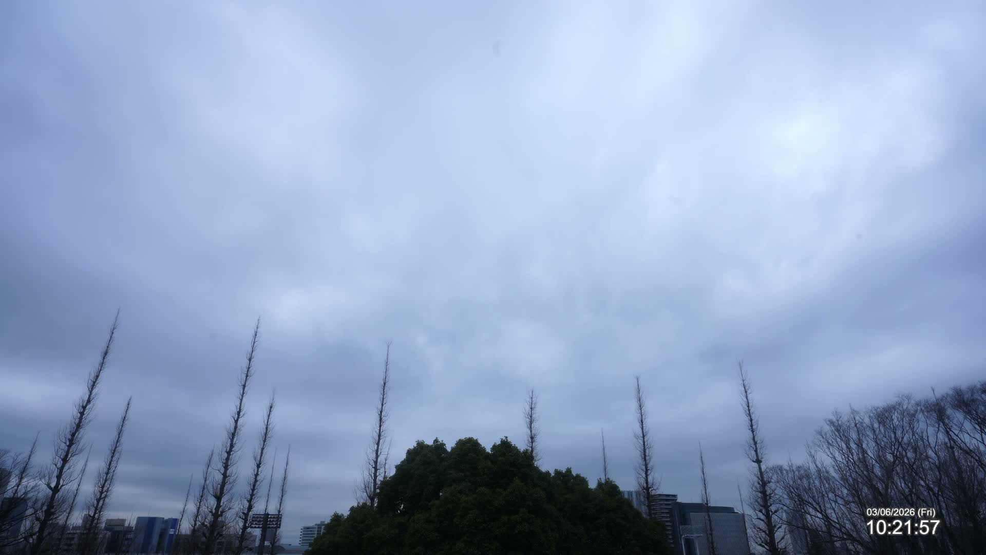 Tokyo, Meiji Shrine Outer Garden / Meiji Jingu Gaien toward Sky (明治神宮外苑から空へ) Live Cam  - Kasumigaokamachi, Shinjuku-ku, Tokyo, Kantō, Honshu, Japan