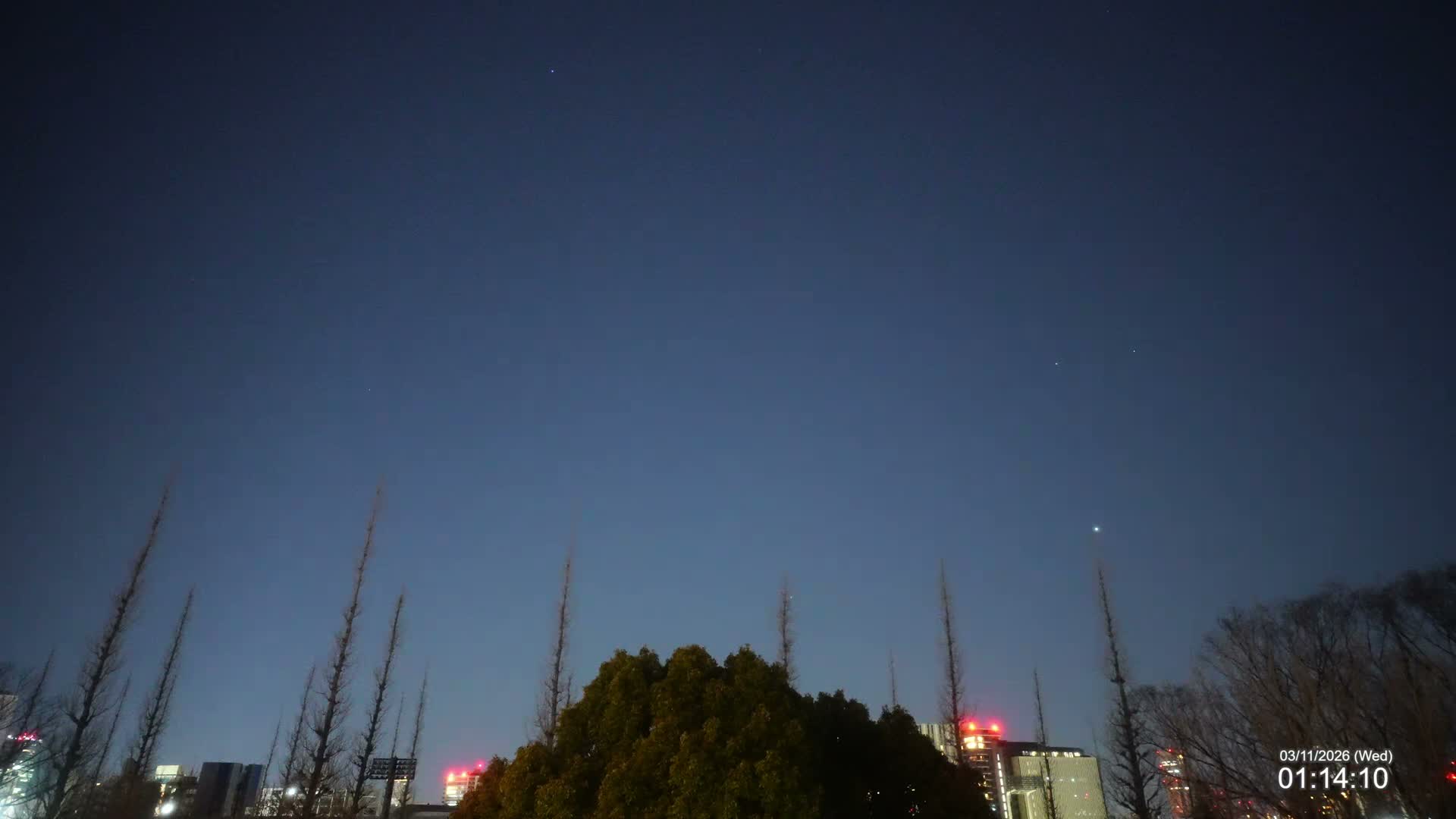 Tokyo, Meiji Shrine Outer Garden / Meiji Jingu Gaien toward Sky (明治神宮外苑から空へ) Live Cam  - Kasumigaokamachi, Shinjuku-ku, Tokyo, Kantō, Honshu, Japan