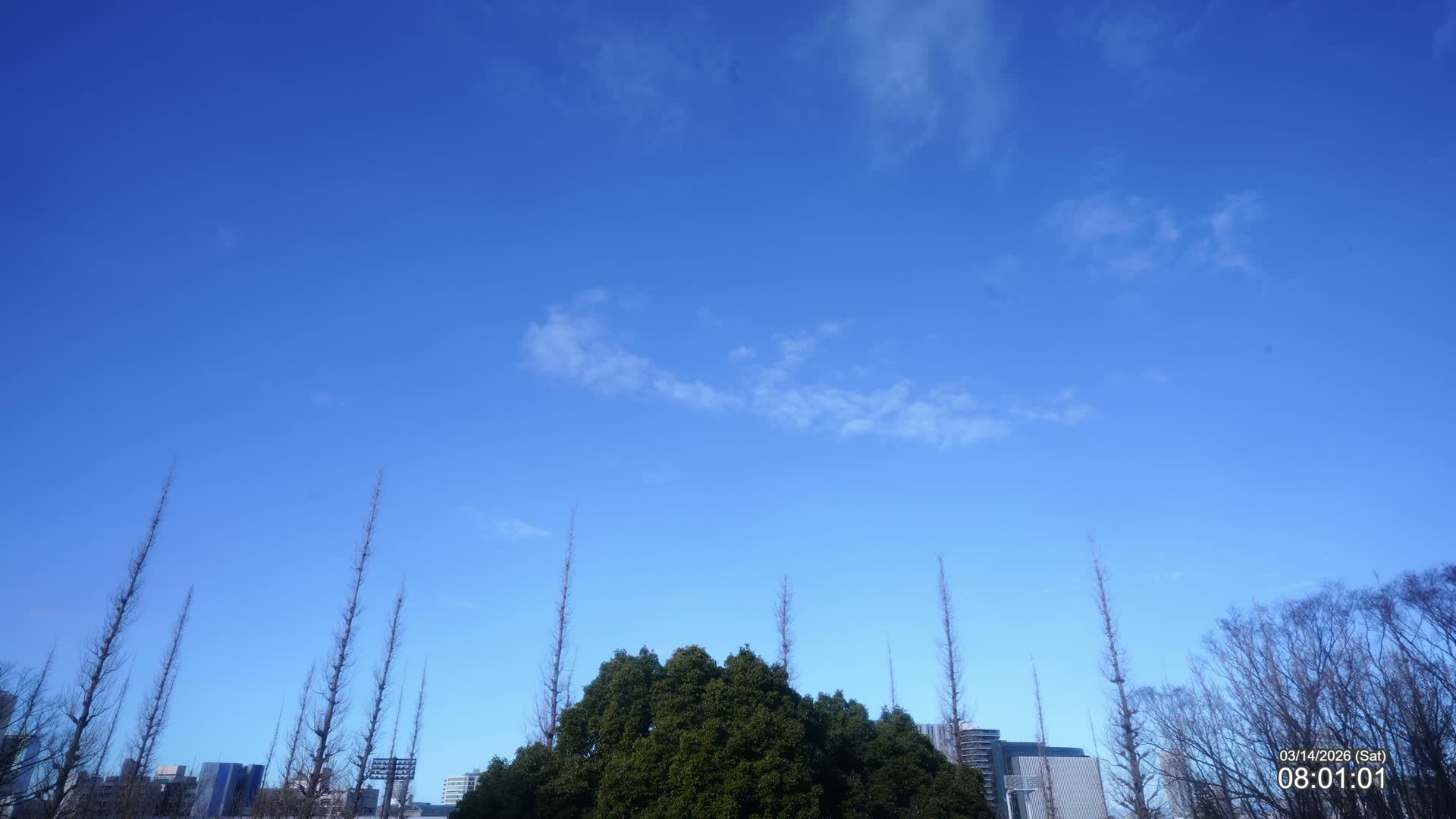 Tokyo, Meiji Shrine Outer Garden / Meiji Jingu Gaien toward Sky (明治神宮外苑から空へ) Live Cam  - Kasumigaokamachi, Shinjuku-ku, Tokyo, Kantō, Honshu, Japan