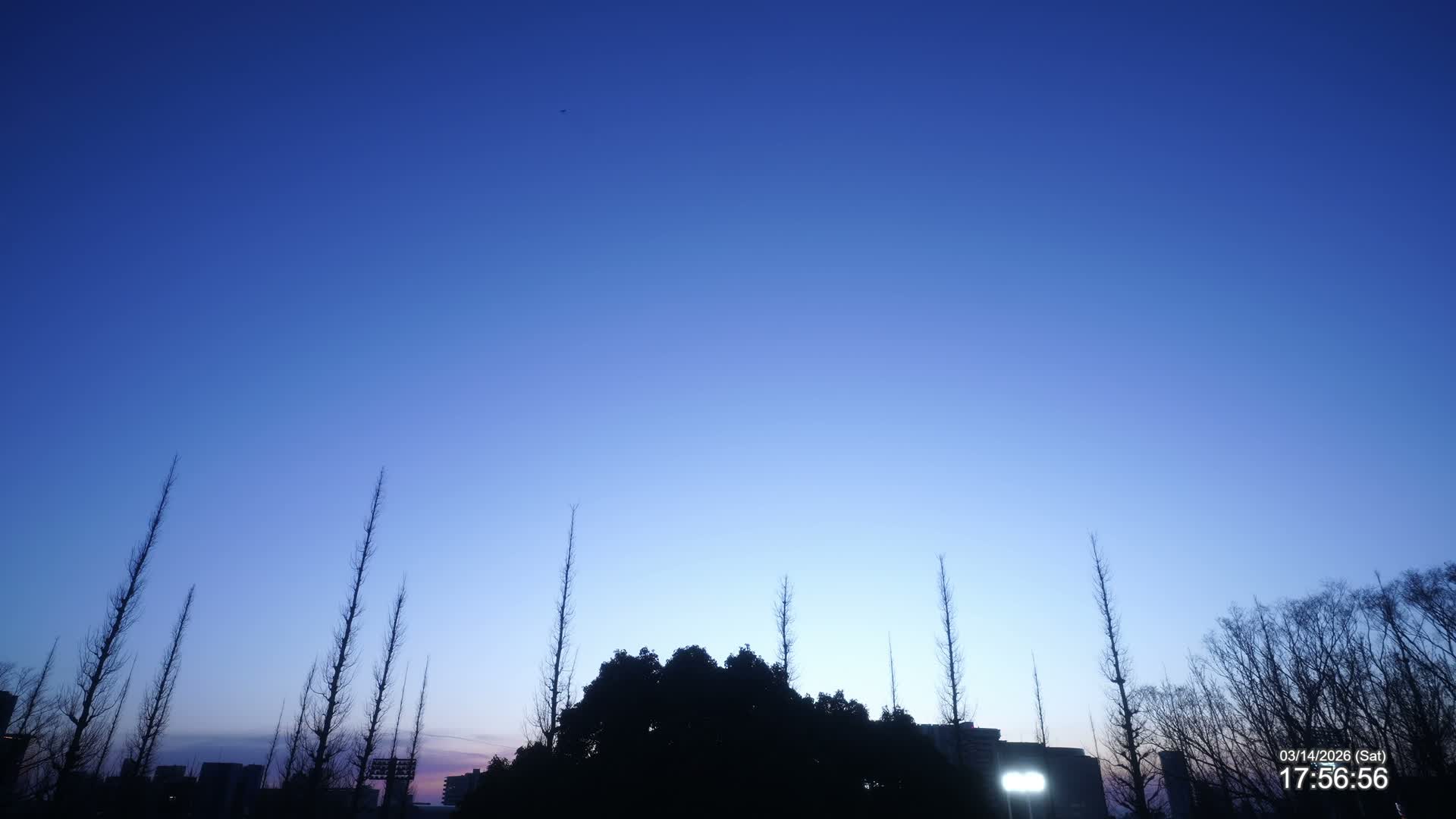 Tokyo, Meiji Shrine Outer Garden / Meiji Jingu Gaien toward Sky (明治神宮外苑から空へ) Live Cam  - Kasumigaokamachi, Shinjuku-ku, Tokyo, Kantō, Honshu, Japan