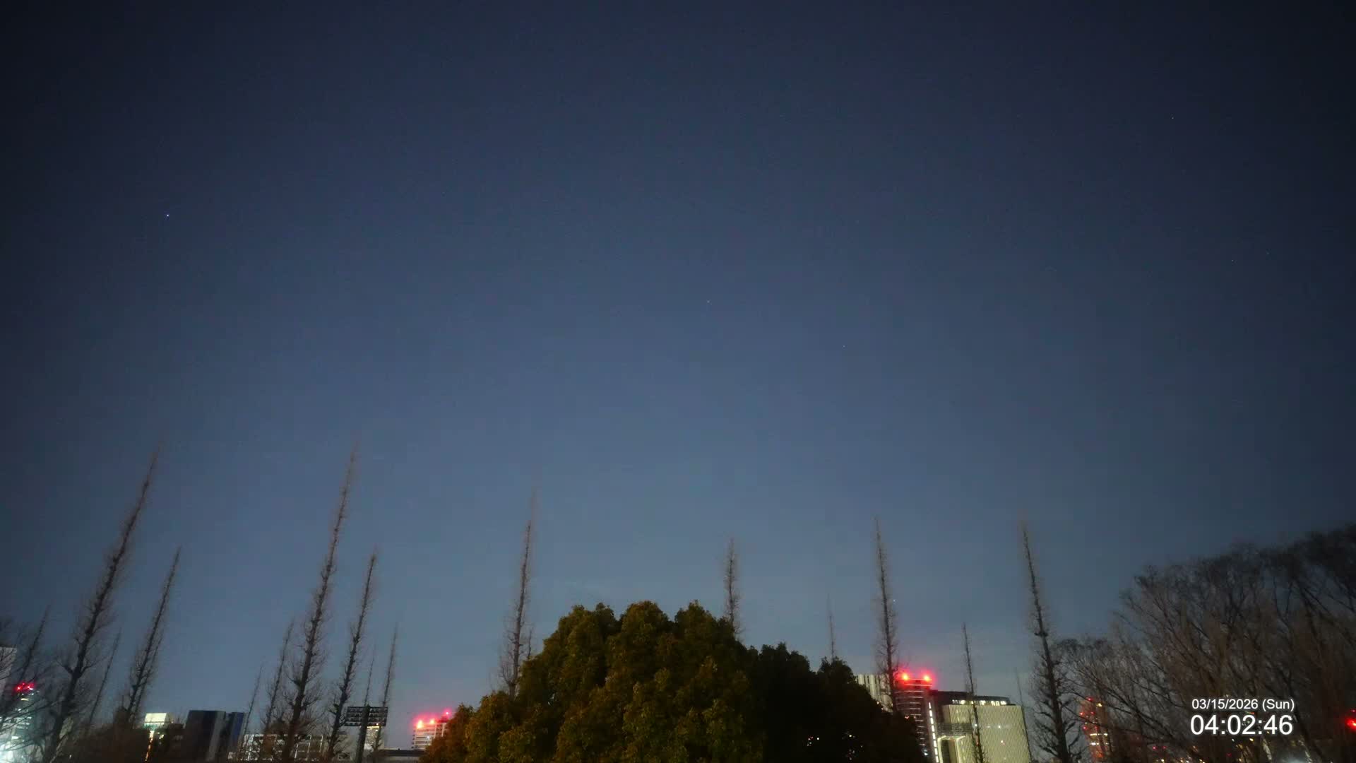 Tokyo, Meiji Shrine Outer Garden / Meiji Jingu Gaien toward Sky (明治神宮外苑から空へ) Live Cam  - Kasumigaokamachi, Shinjuku-ku, Tokyo, Kantō, Honshu, Japan