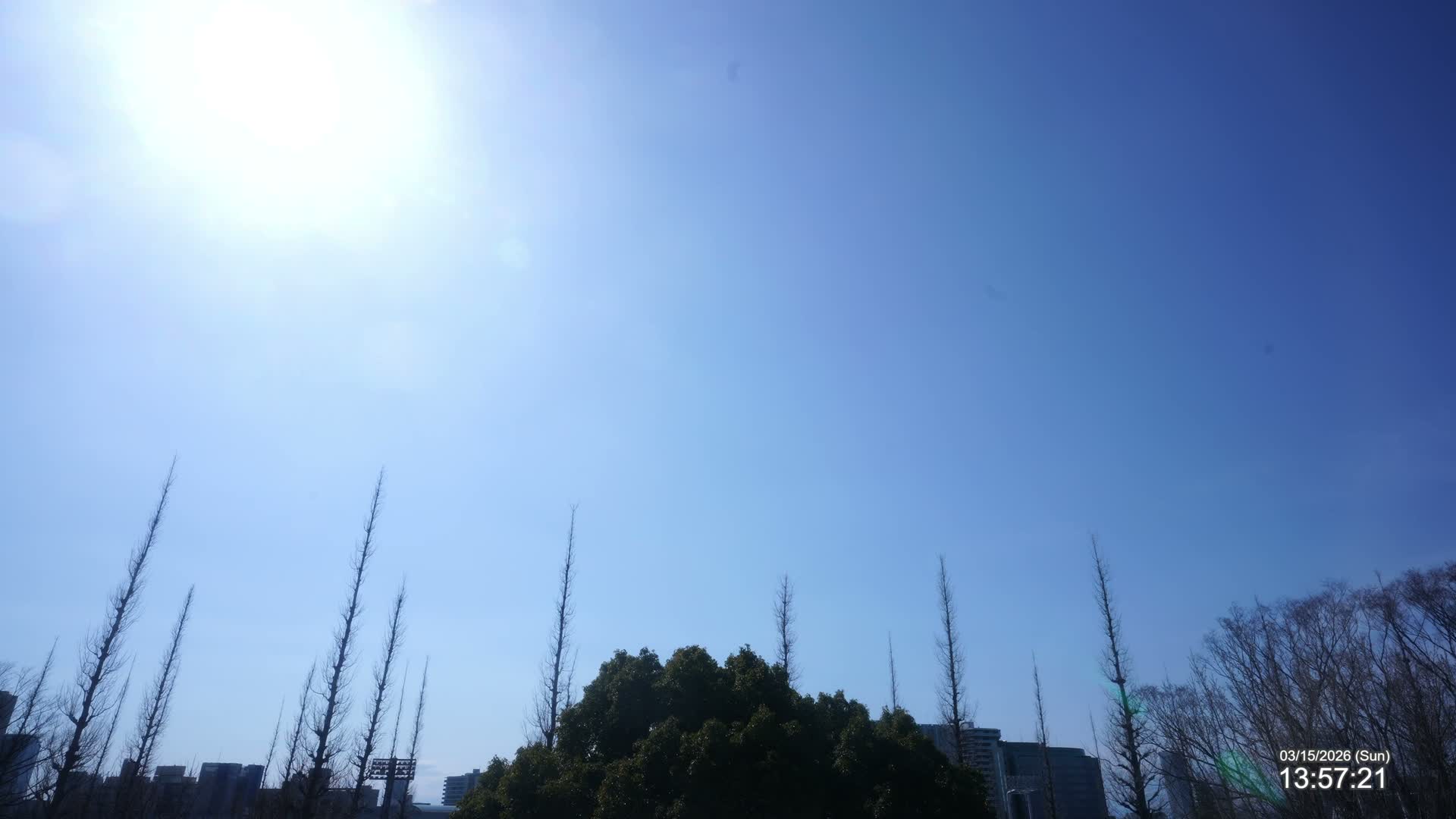 Tokyo, Meiji Shrine Outer Garden / Meiji Jingu Gaien toward Sky (明治神宮外苑から空へ) Live Cam  - Kasumigaokamachi, Shinjuku-ku, Tokyo, Kantō, Honshu, Japan