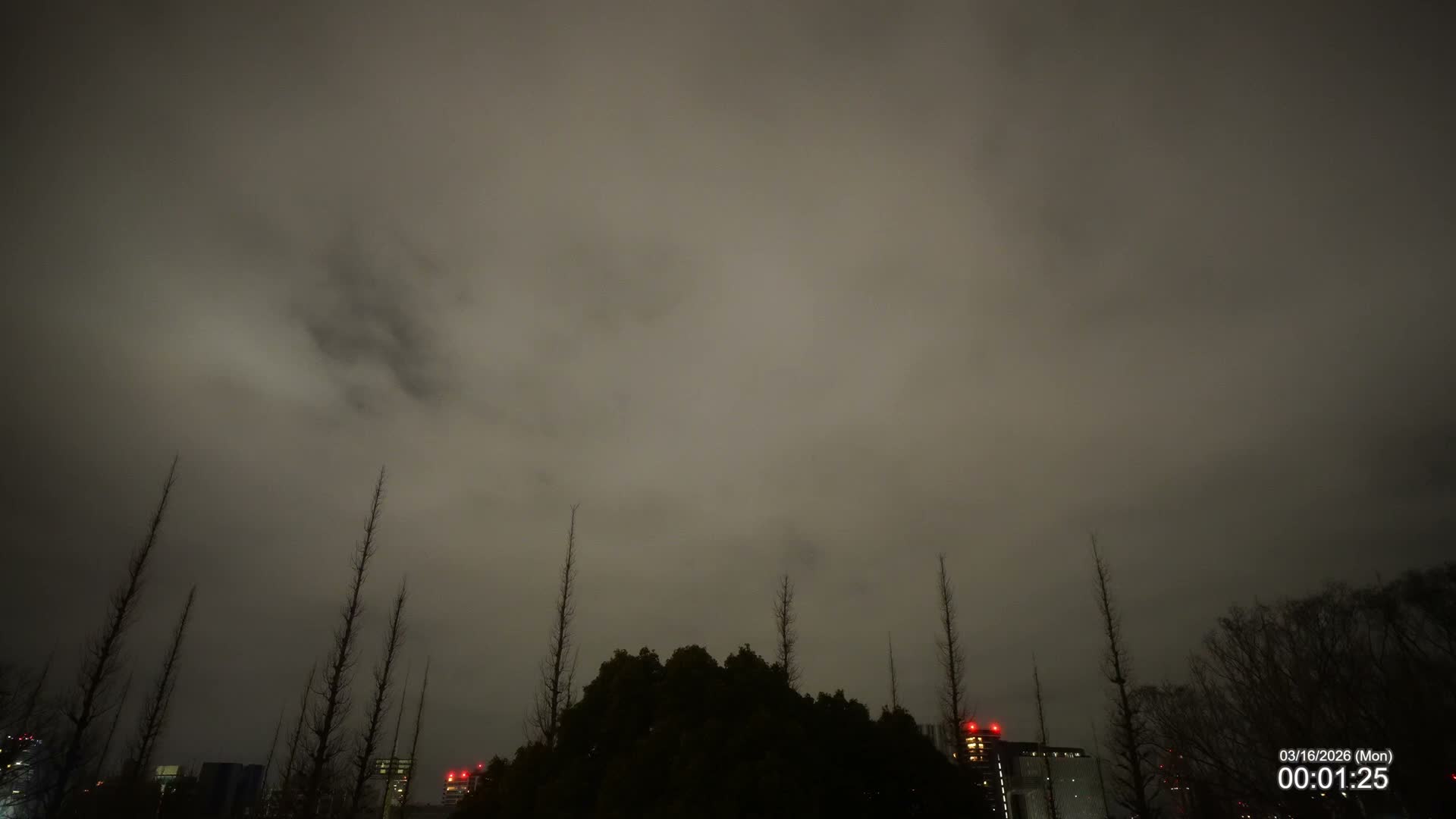 Tokyo, Meiji Shrine Outer Garden / Meiji Jingu Gaien toward Sky (明治神宮外苑から空へ) Live Cam  - Kasumigaokamachi, Shinjuku-ku, Tokyo, Kantō, Honshu, Japan