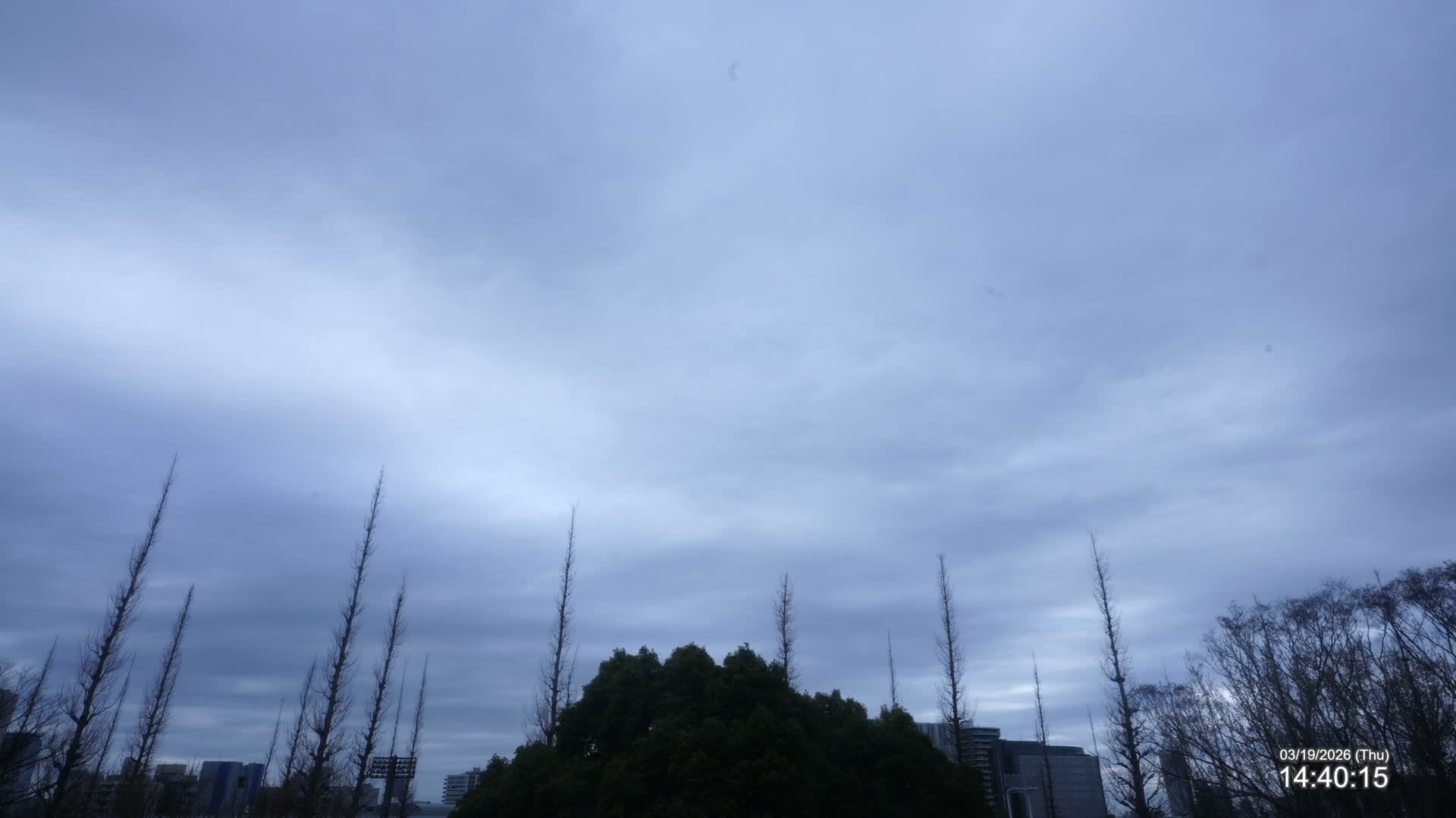 Tokyo, Meiji Shrine Outer Garden / Meiji Jingu Gaien toward Sky (明治神宮外苑から空へ) Live Cam  - Kasumigaokamachi, Shinjuku-ku, Tokyo, Kantō, Honshu, Japan