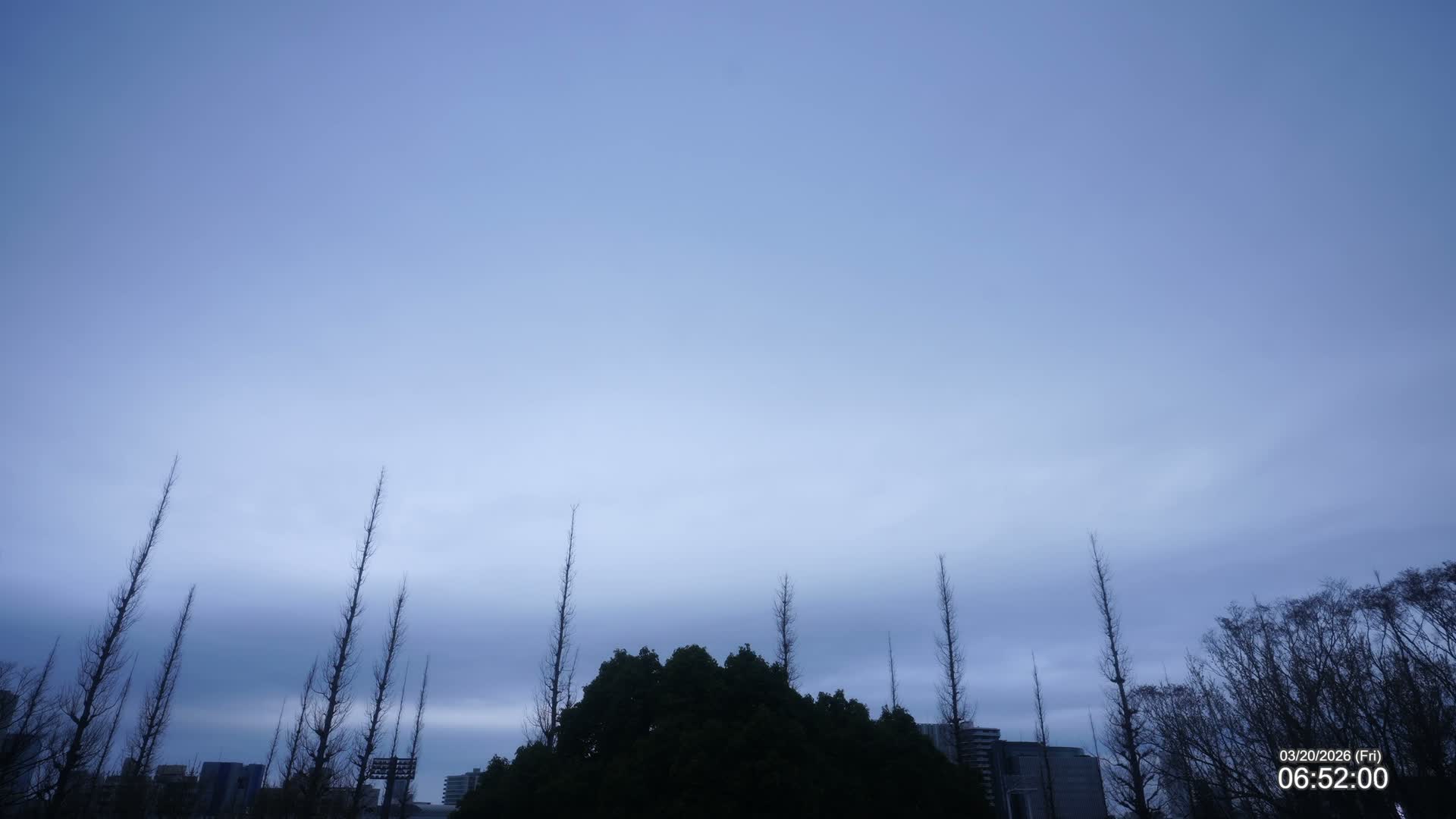 Tokyo, Meiji Shrine Outer Garden / Meiji Jingu Gaien toward Sky (明治神宮外苑から空へ) Live Cam  - Kasumigaokamachi, Shinjuku-ku, Tokyo, Kantō, Honshu, Japan