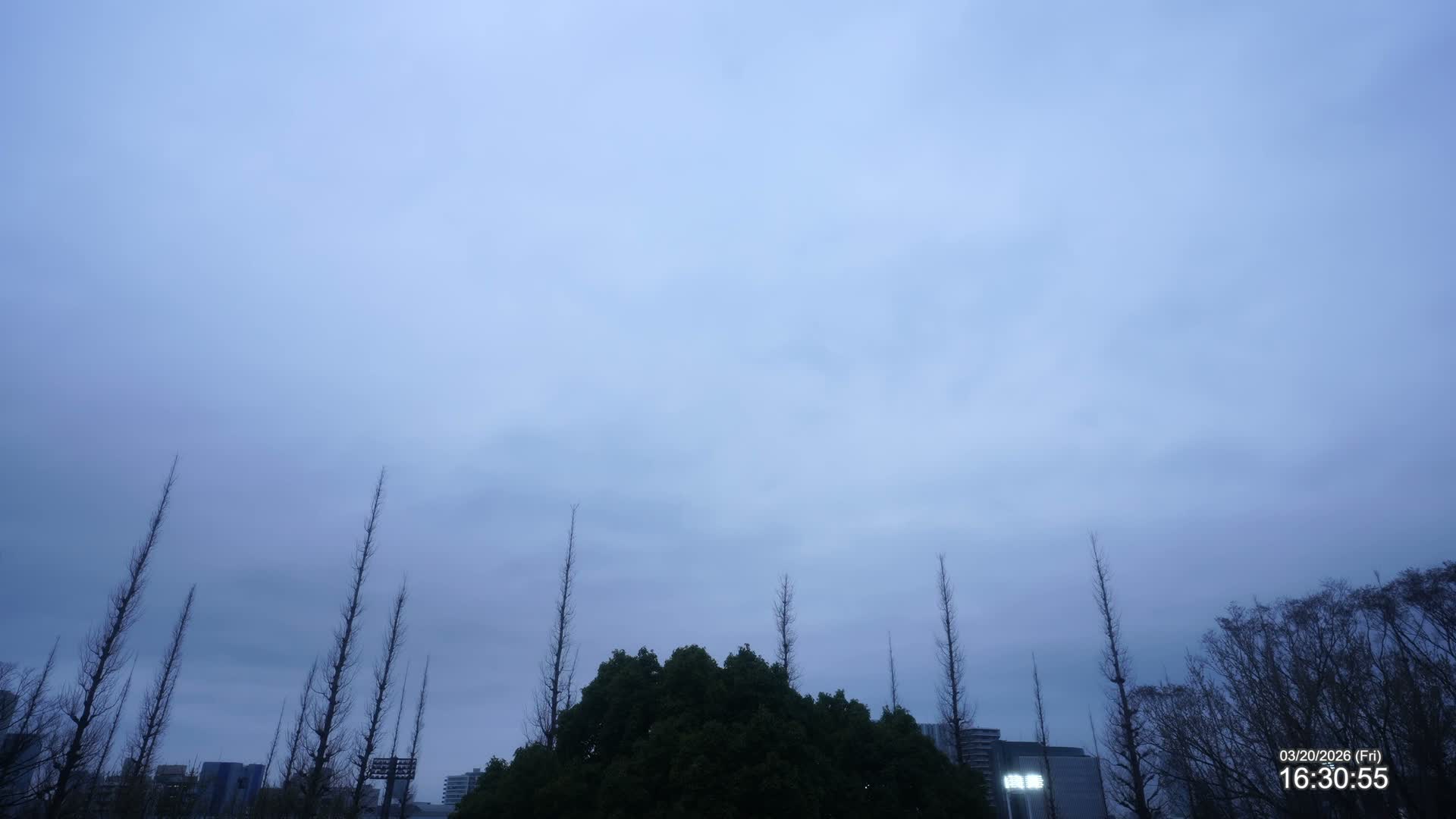 Tokyo, Meiji Shrine Outer Garden / Meiji Jingu Gaien toward Sky (明治神宮外苑から空へ) Live Cam  - Kasumigaokamachi, Shinjuku-ku, Tokyo, Kantō, Honshu, Japan
