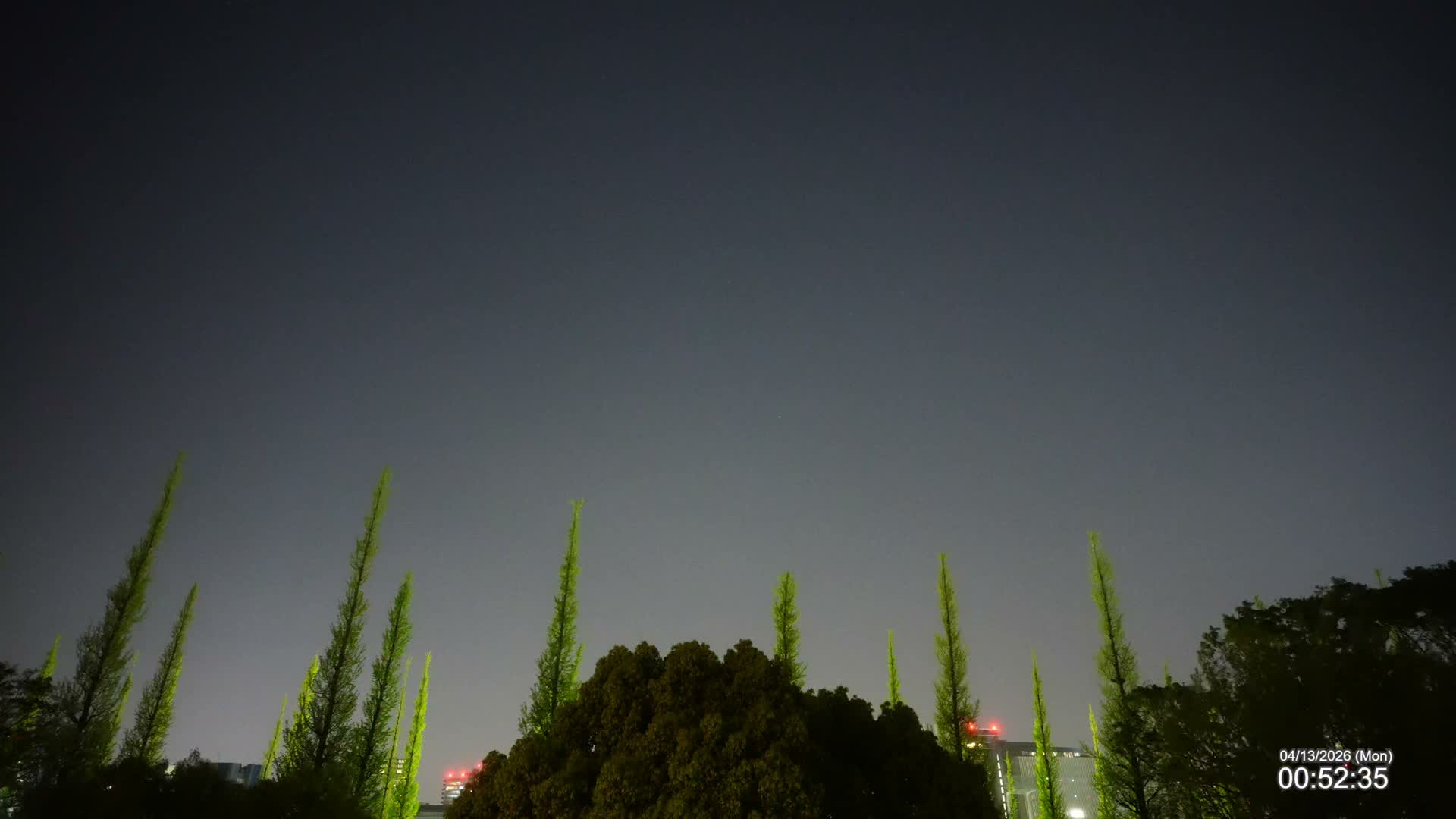 Tokyo, Meiji Shrine Outer Garden / Meiji Jingu Gaien toward Sky (明治神宮外苑から空へ) Live Cam  - Kasumigaokamachi, Shinjuku-ku, Tokyo, Kantō, Honshu, Japan