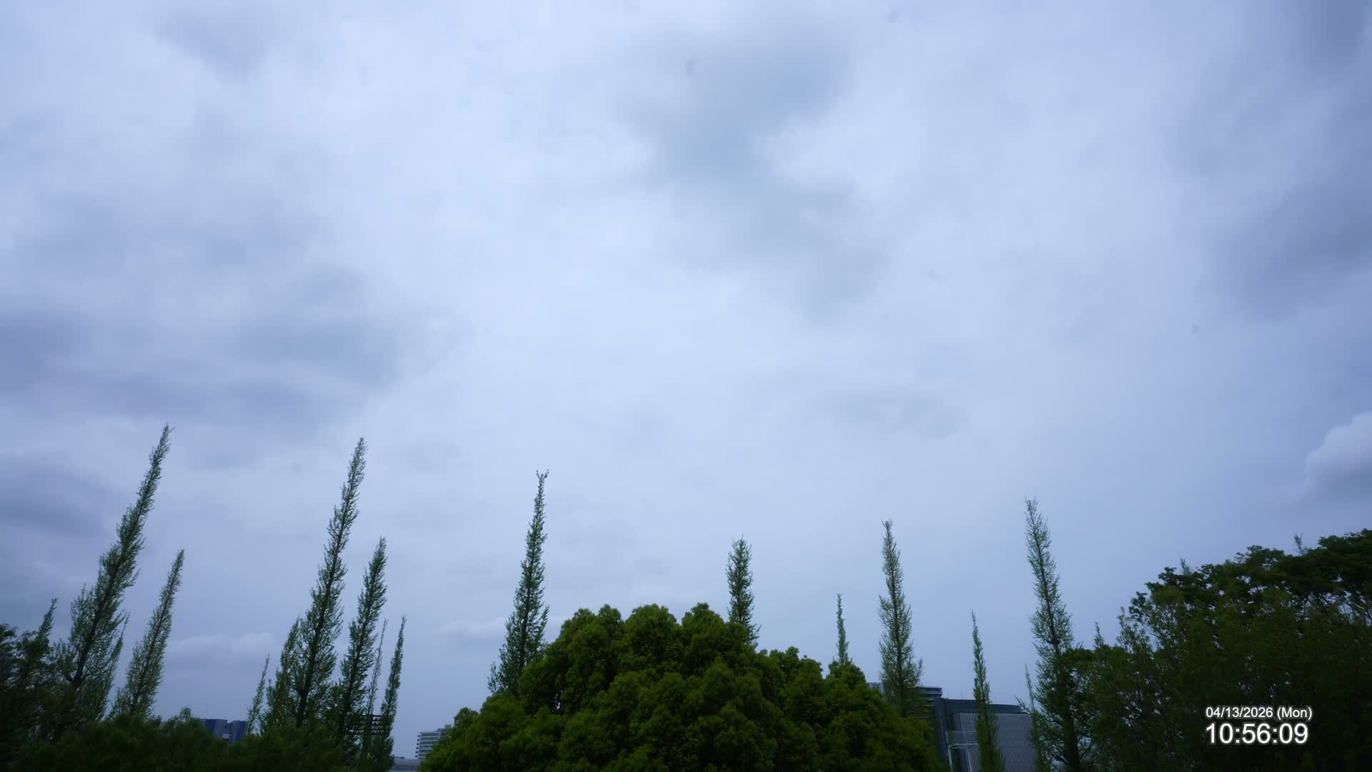 Tokyo, Meiji Shrine Outer Garden / Meiji Jingu Gaien toward Sky (明治神宮外苑から空へ) Live Cam  - Kasumigaokamachi, Shinjuku-ku, Tokyo, Kantō, Honshu, Japan