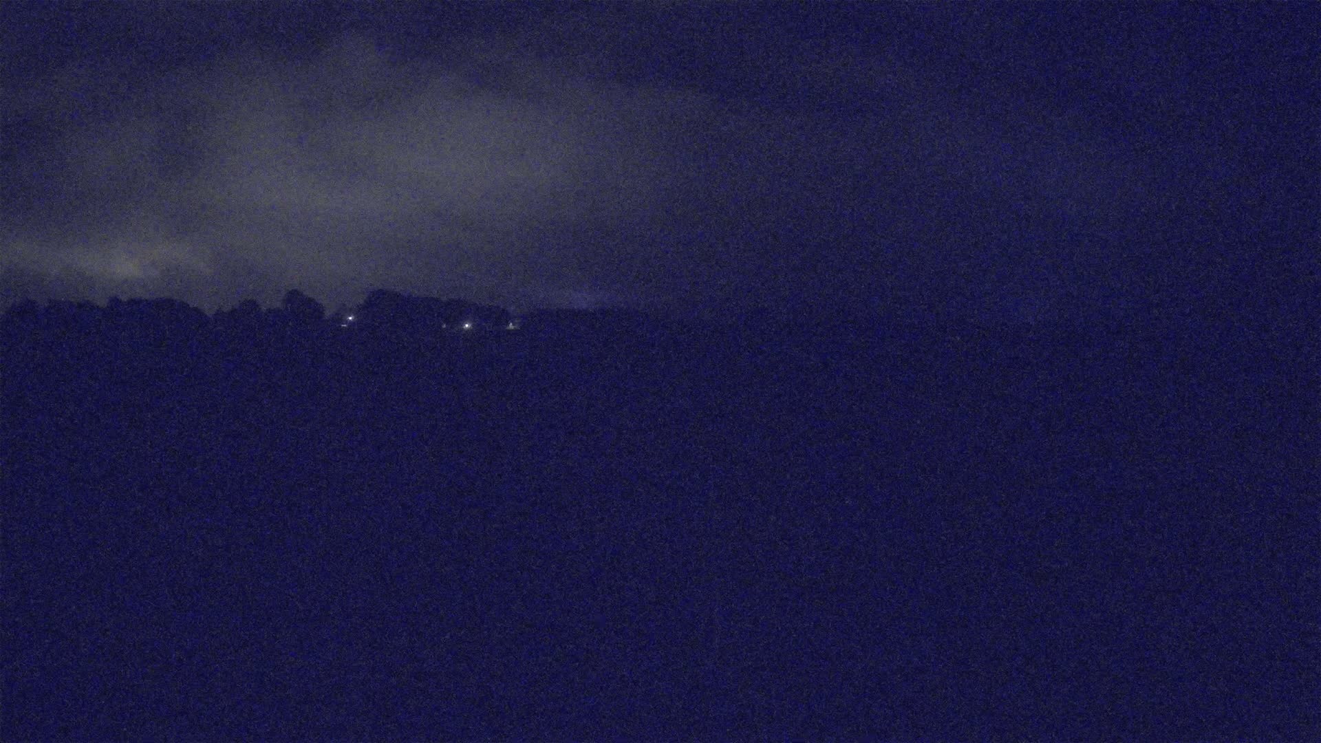 A dark, nighttime landscape shows a line of trees with a few distant lights under a cloudy sky.