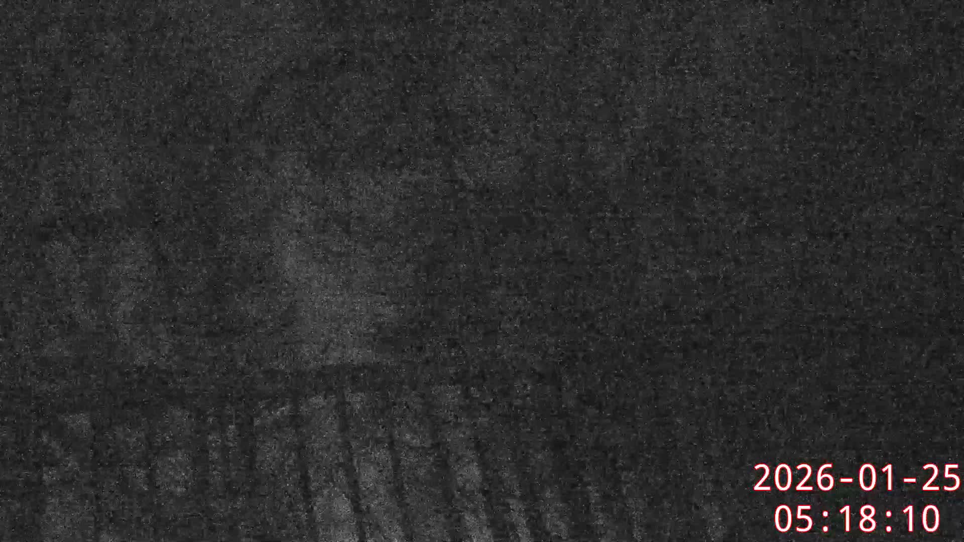 Karuizawa, Mikasa Forest Birds & Squirrels Life Live Cam - Nagakura, Karuizawa, Kitasaku, Nagano, Chubu, Japan
