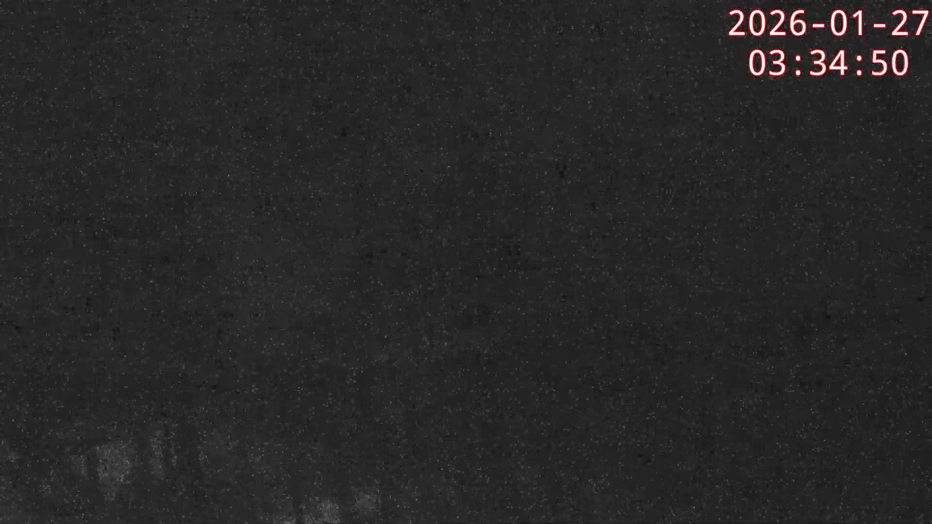 Karuizawa, Mikasa Forest Birds & Squirrels Life Live Cam - Nagakura, Karuizawa, Kitasaku, Nagano, Chubu, Japan