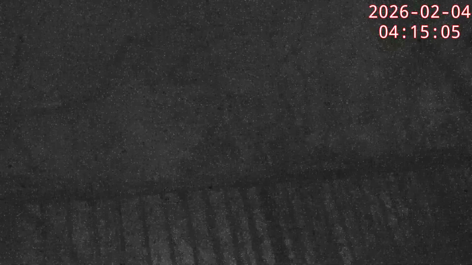 Karuizawa, Mikasa Forest Birds & Squirrels Life Live Cam - Nagakura, Karuizawa, Kitasaku, Nagano, Chubu, Japan
