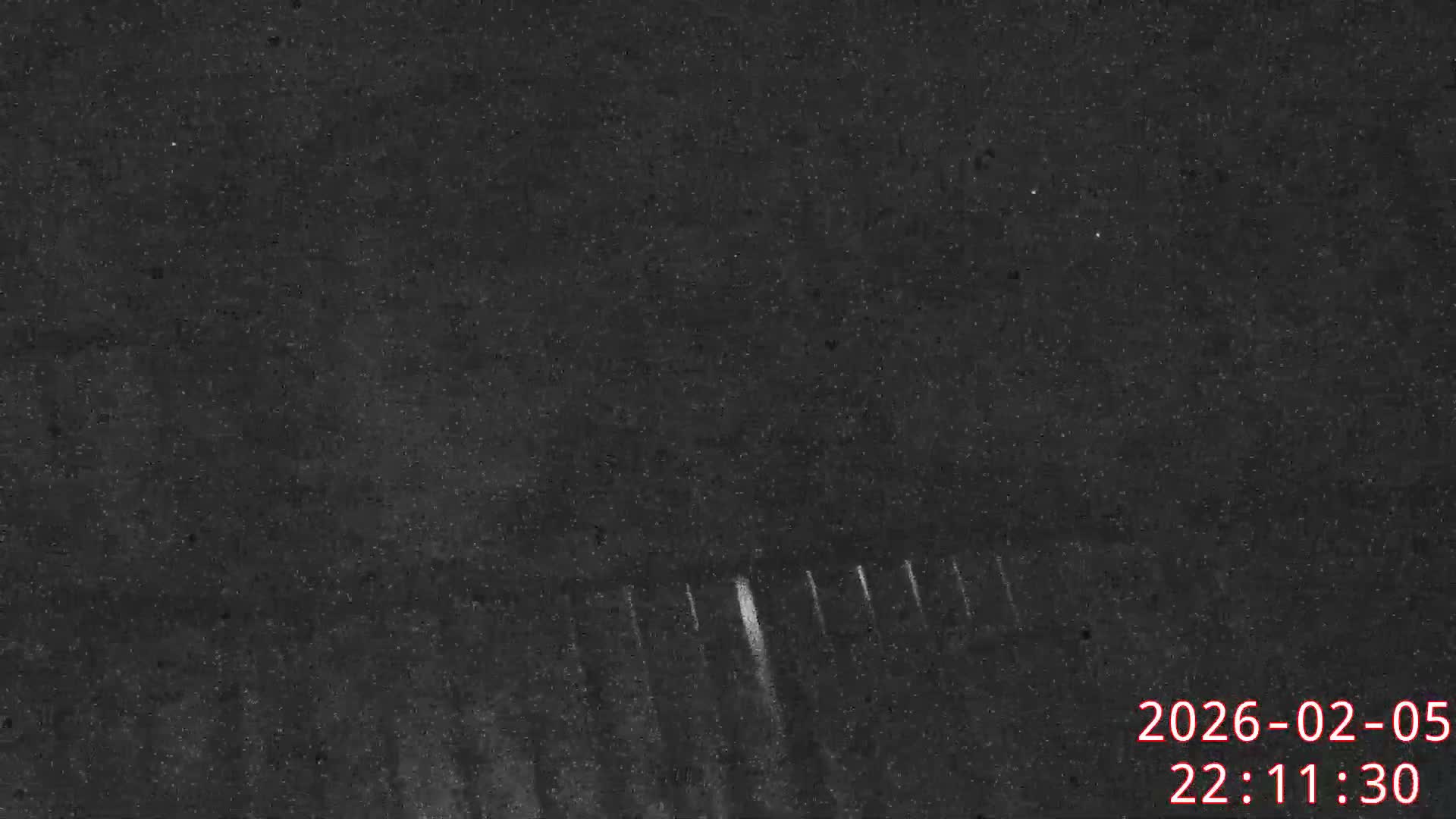 Karuizawa, Mikasa Forest Birds & Squirrels Life Live Cam - Nagakura, Karuizawa, Kitasaku, Nagano, Chubu, Japan