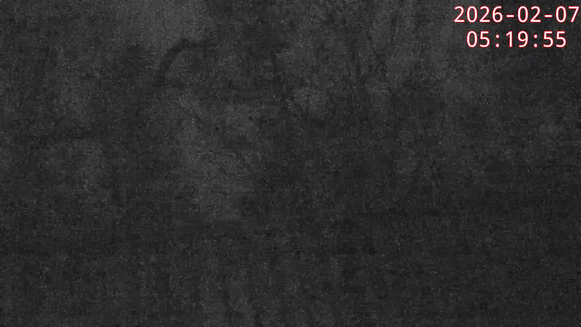 Karuizawa, Mikasa Forest Birds & Squirrels Life Live Cam - Nagakura, Karuizawa, Kitasaku, Nagano, Chubu, Japan