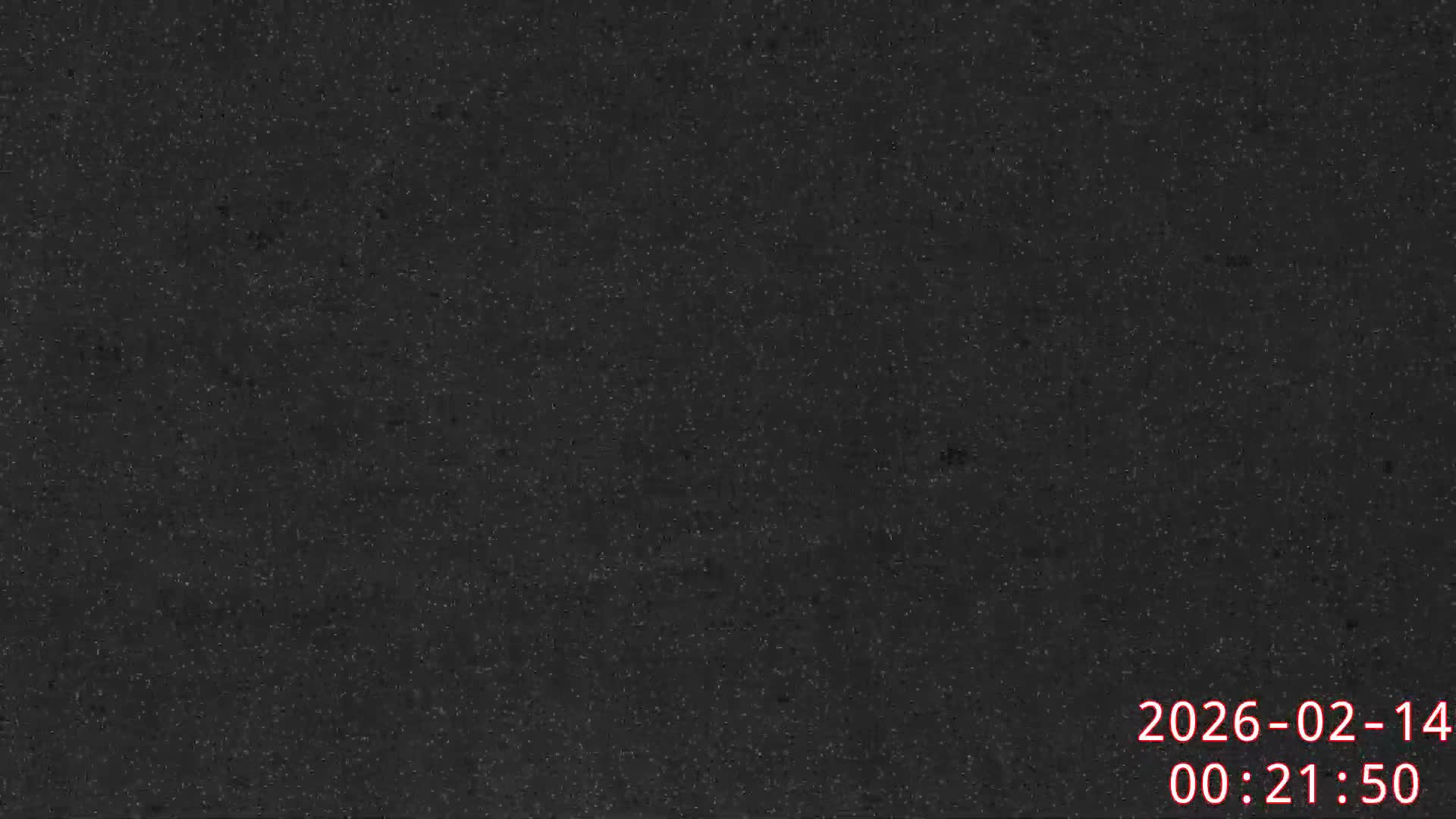 Karuizawa, Mikasa Forest Birds & Squirrels Life Live Cam - Nagakura, Karuizawa, Kitasaku, Nagano, Chubu, Japan