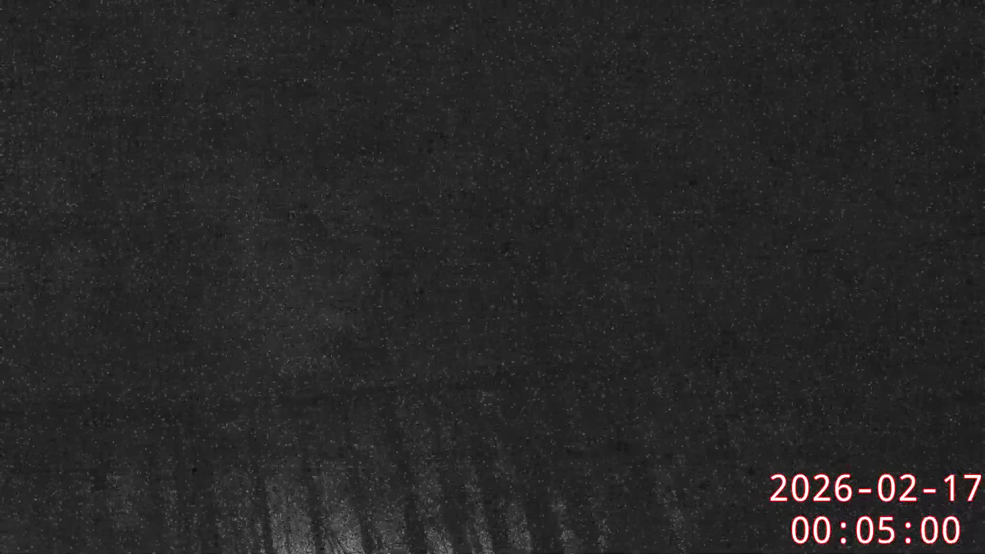 Karuizawa, Mikasa Forest Birds & Squirrels Life Live Cam - Nagakura, Karuizawa, Kitasaku, Nagano, Chubu, Japan