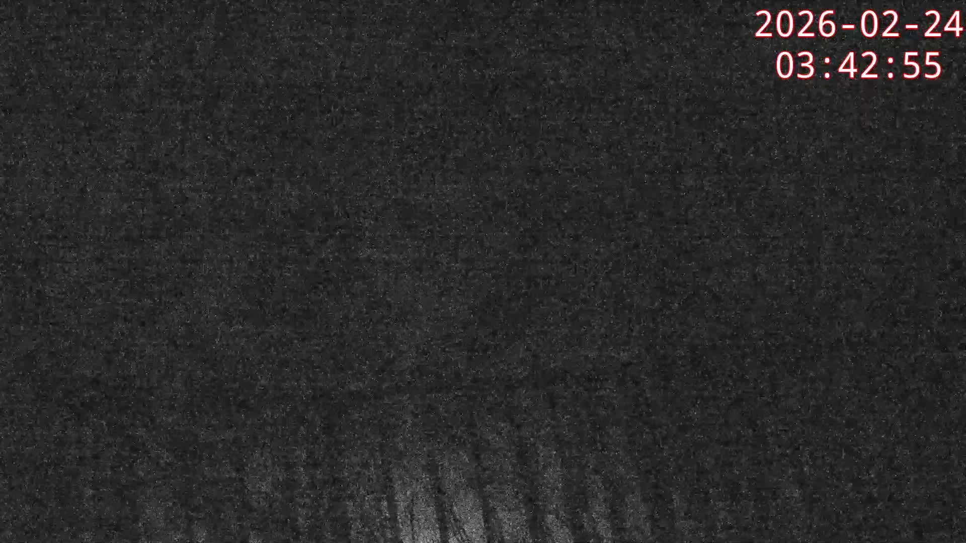 Karuizawa, Mikasa Forest Birds & Squirrels Life Live Cam - Nagakura, Karuizawa, Kitasaku, Nagano, Chubu, Japan