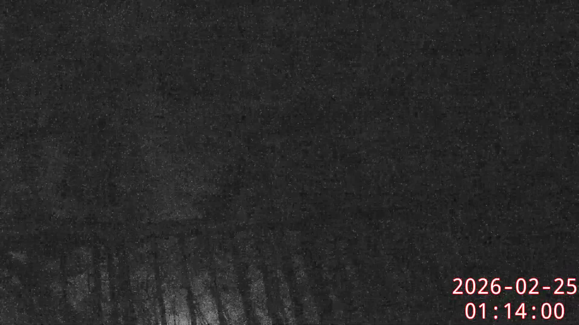 Karuizawa, Mikasa Forest Birds & Squirrels Life Live Cam - Nagakura, Karuizawa, Kitasaku, Nagano, Chubu, Japan