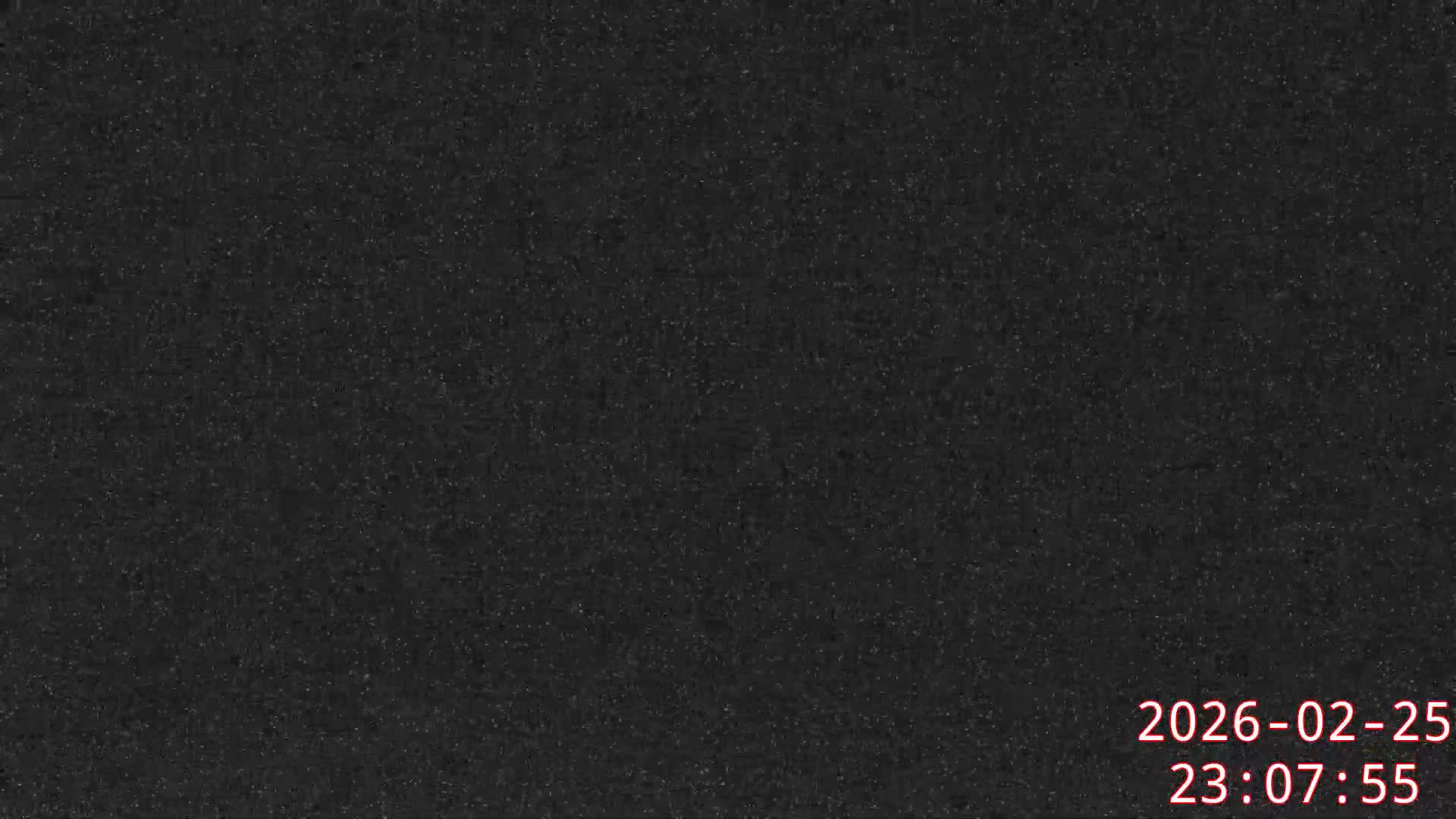 Karuizawa, Mikasa Forest Birds & Squirrels Life Live Cam - Nagakura, Karuizawa, Kitasaku, Nagano, Chubu, Japan