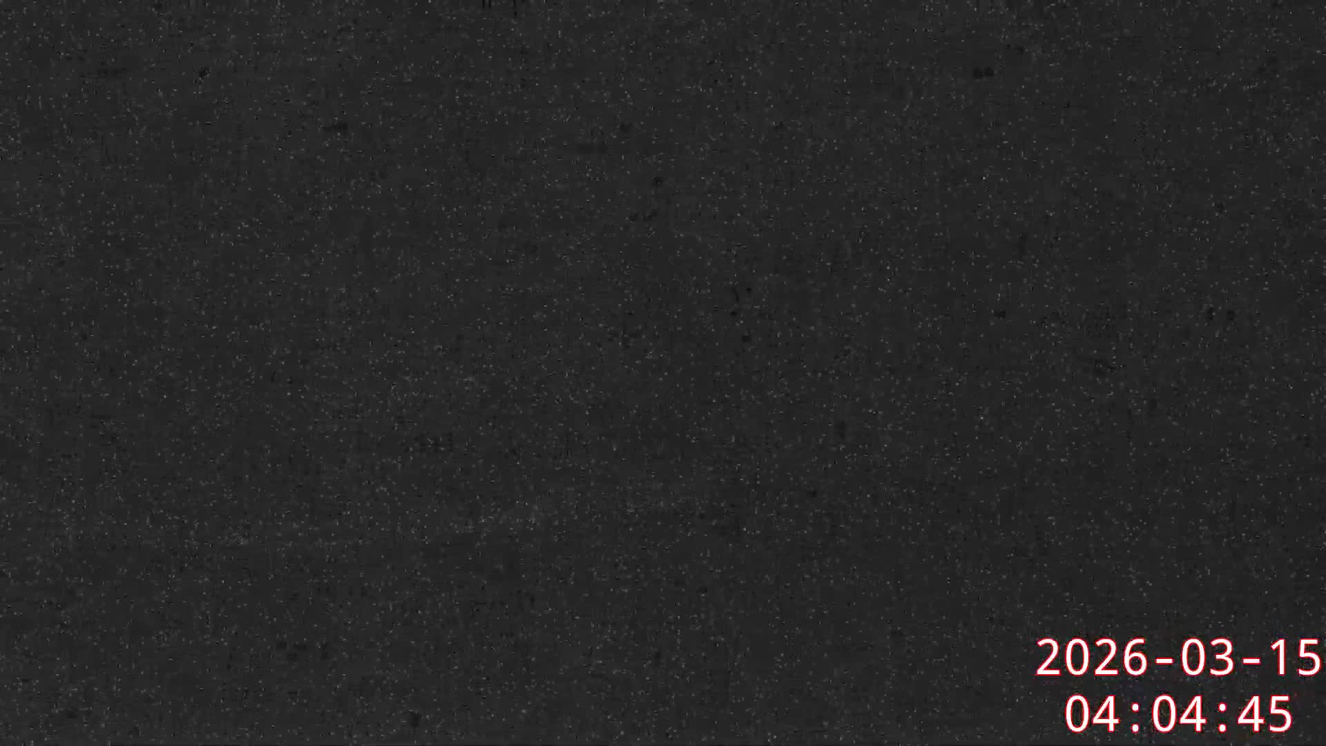 Karuizawa, Mikasa Forest Birds & Squirrels Life Live Cam - Nagakura, Karuizawa, Kitasaku, Nagano, Chubu, Japan