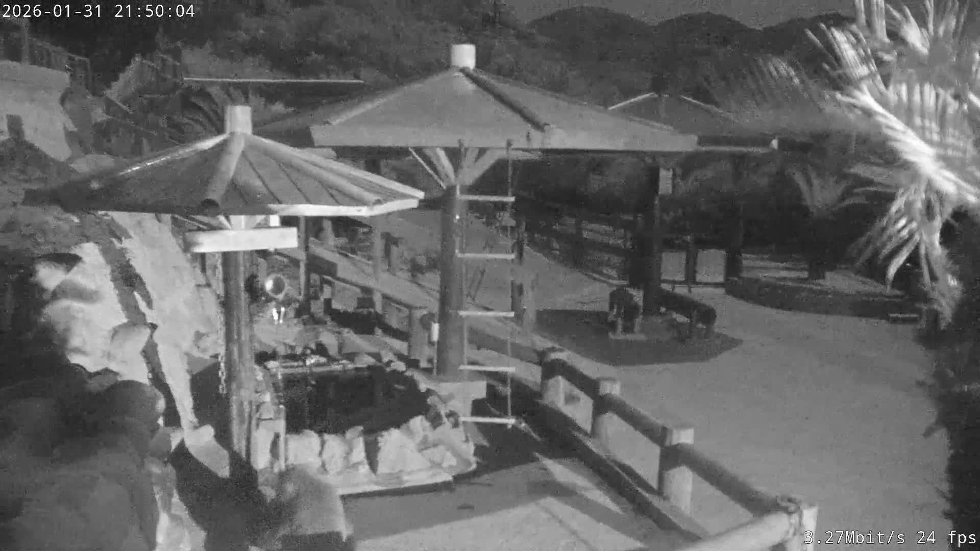 Awaji Island, Awaji Monkey Center ( 淡路島モンキーセンター) Live Cam - Hatadagumi, Sumoto Shi, Hyogo, Kansai,  Japan