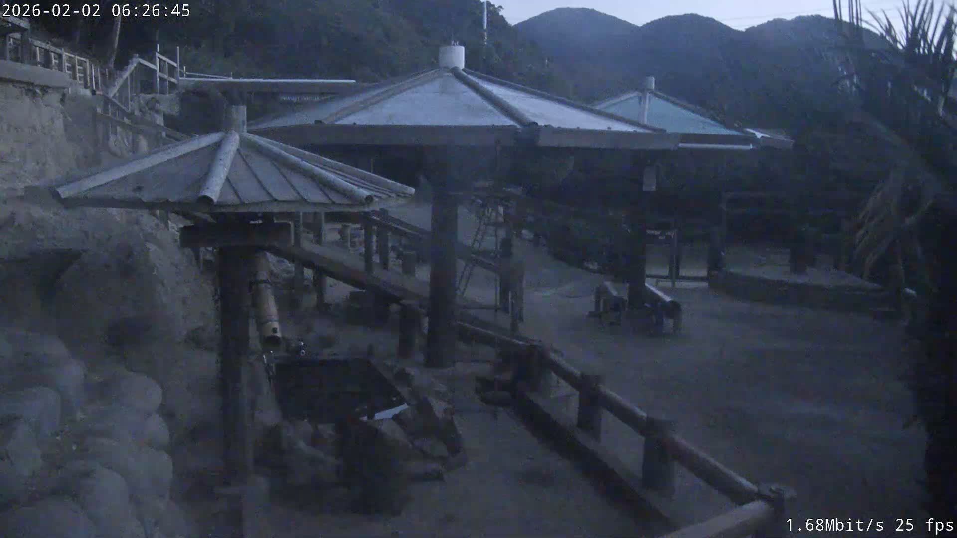 Awaji Island, Awaji Monkey Center ( 淡路島モンキーセンター) Live Cam - Hatadagumi, Sumoto Shi, Hyogo, Kansai,  Japan