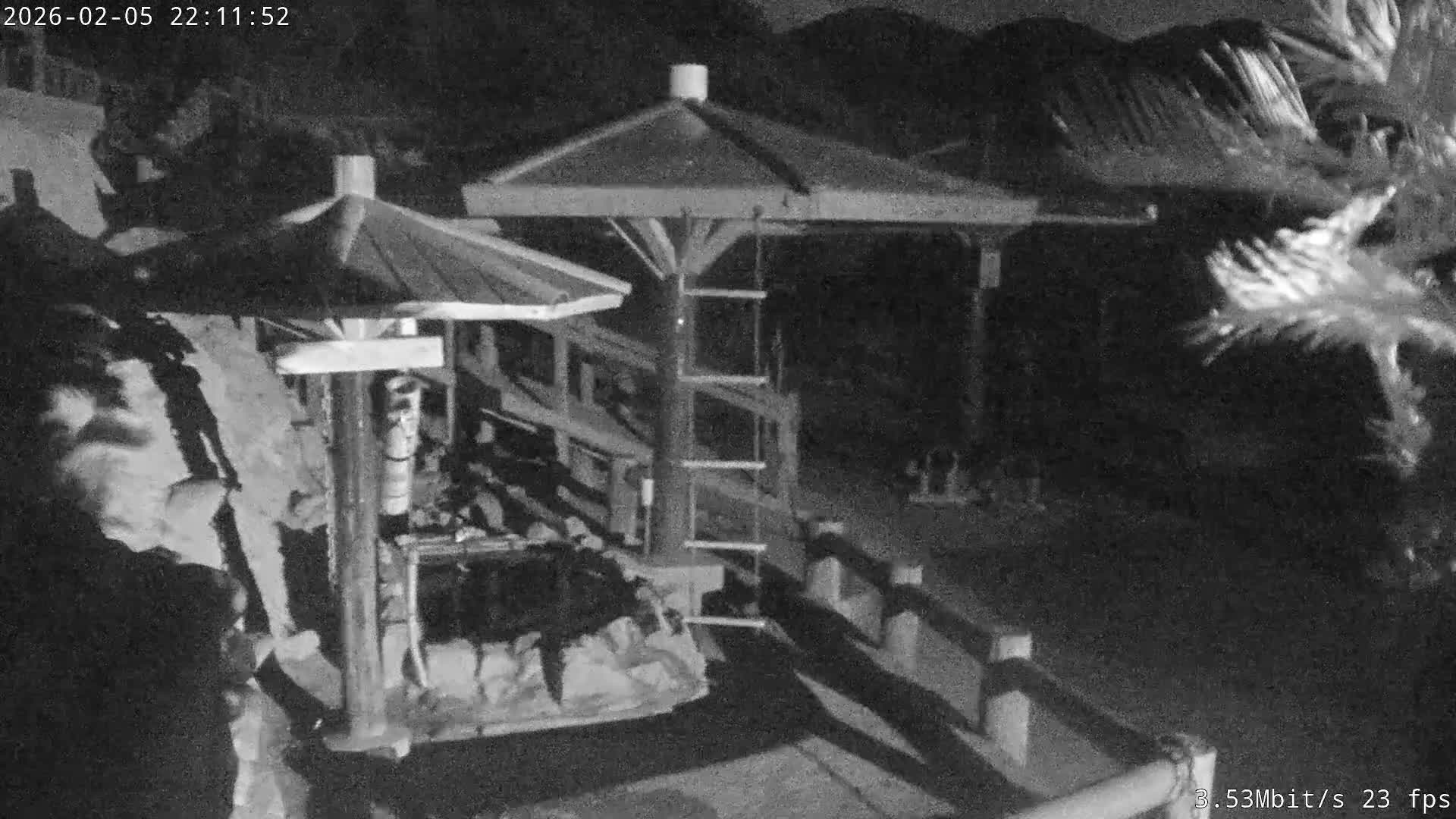 Awaji Island, Awaji Monkey Center ( 淡路島モンキーセンター) Live Cam - Hatadagumi, Sumoto Shi, Hyogo, Kansai,  Japan